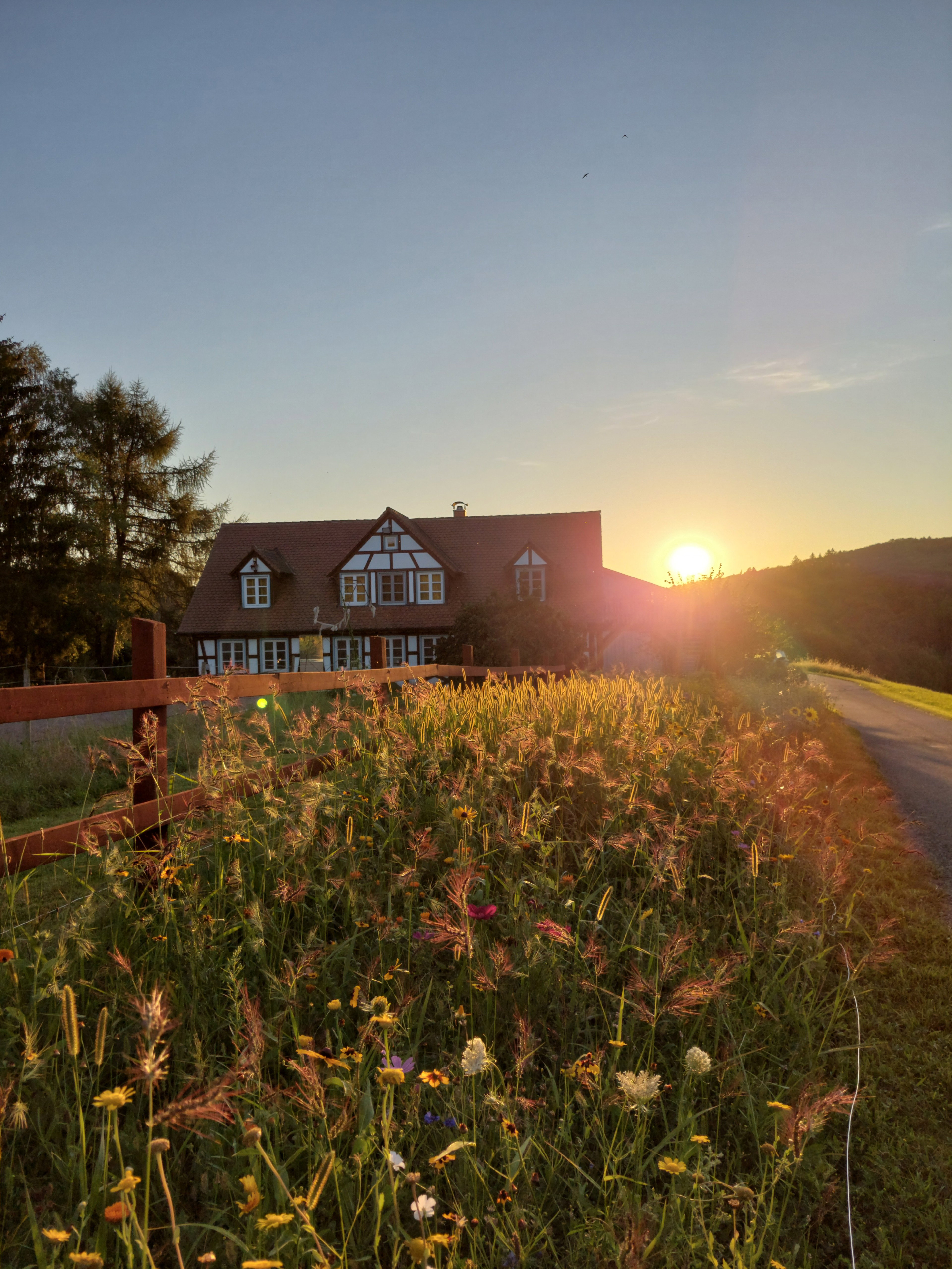 Casa nella natura a Weinheim