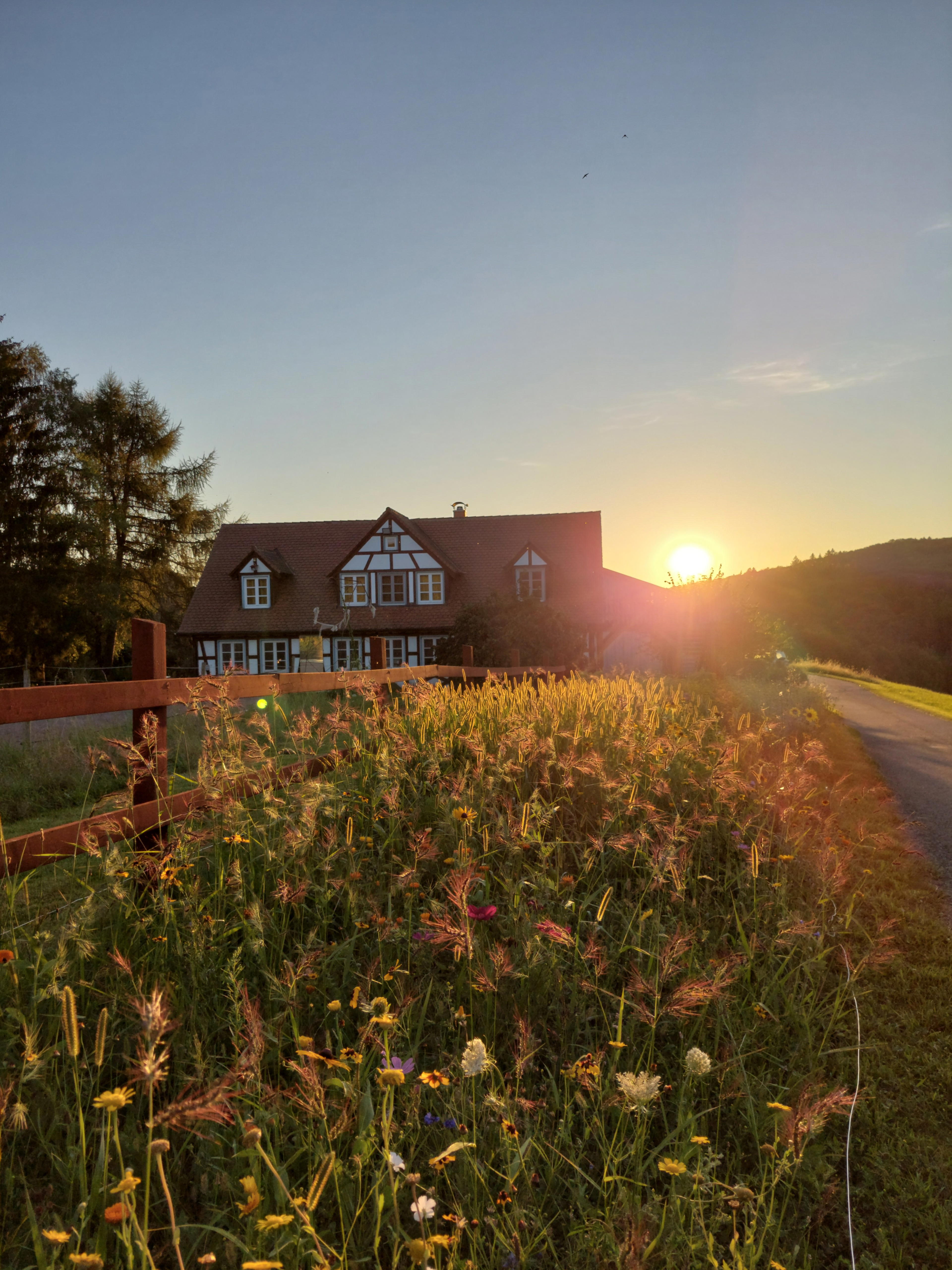 Natuurhuisje in Weinheim