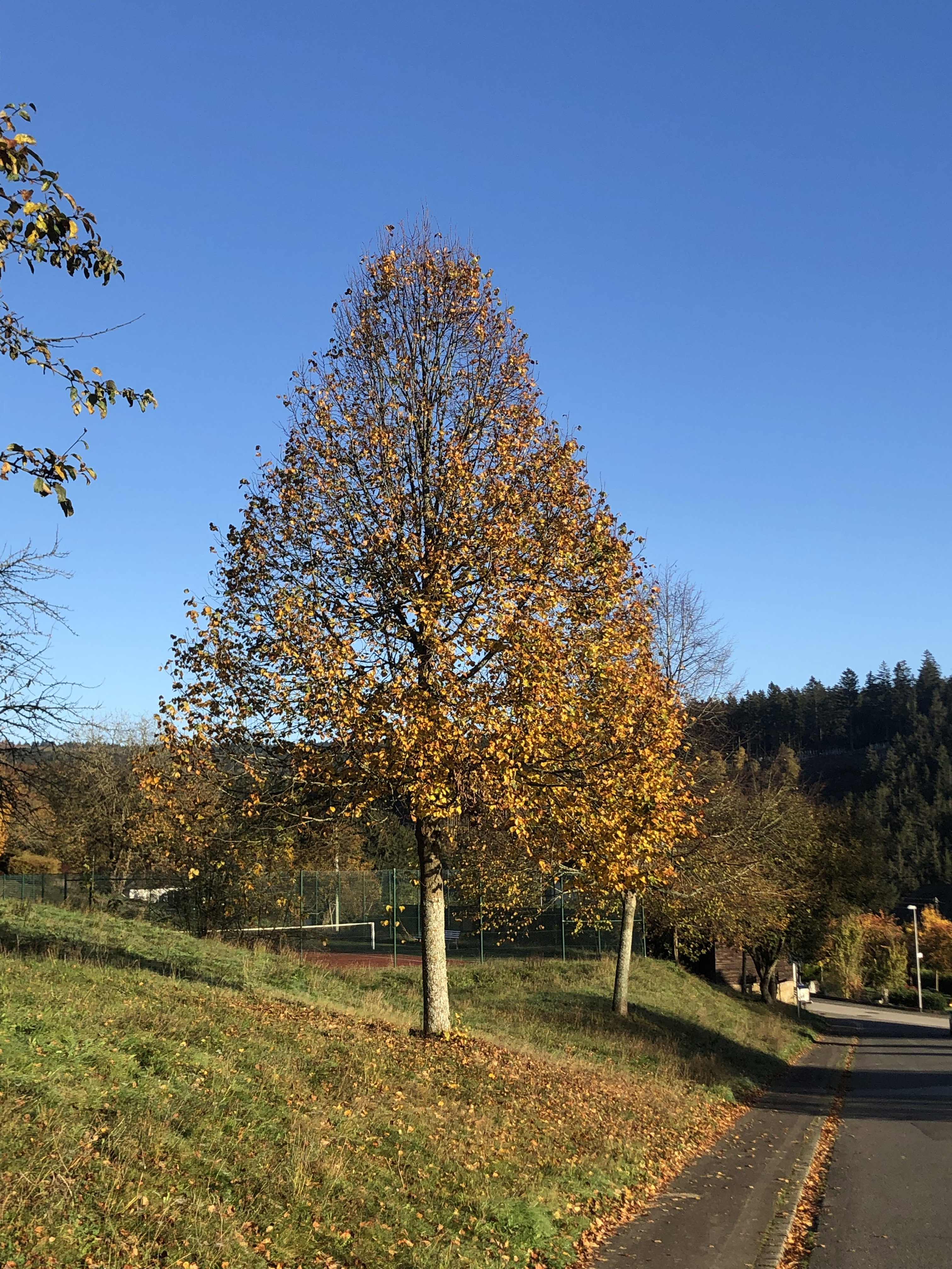 Natuurhuisje in Langweiler