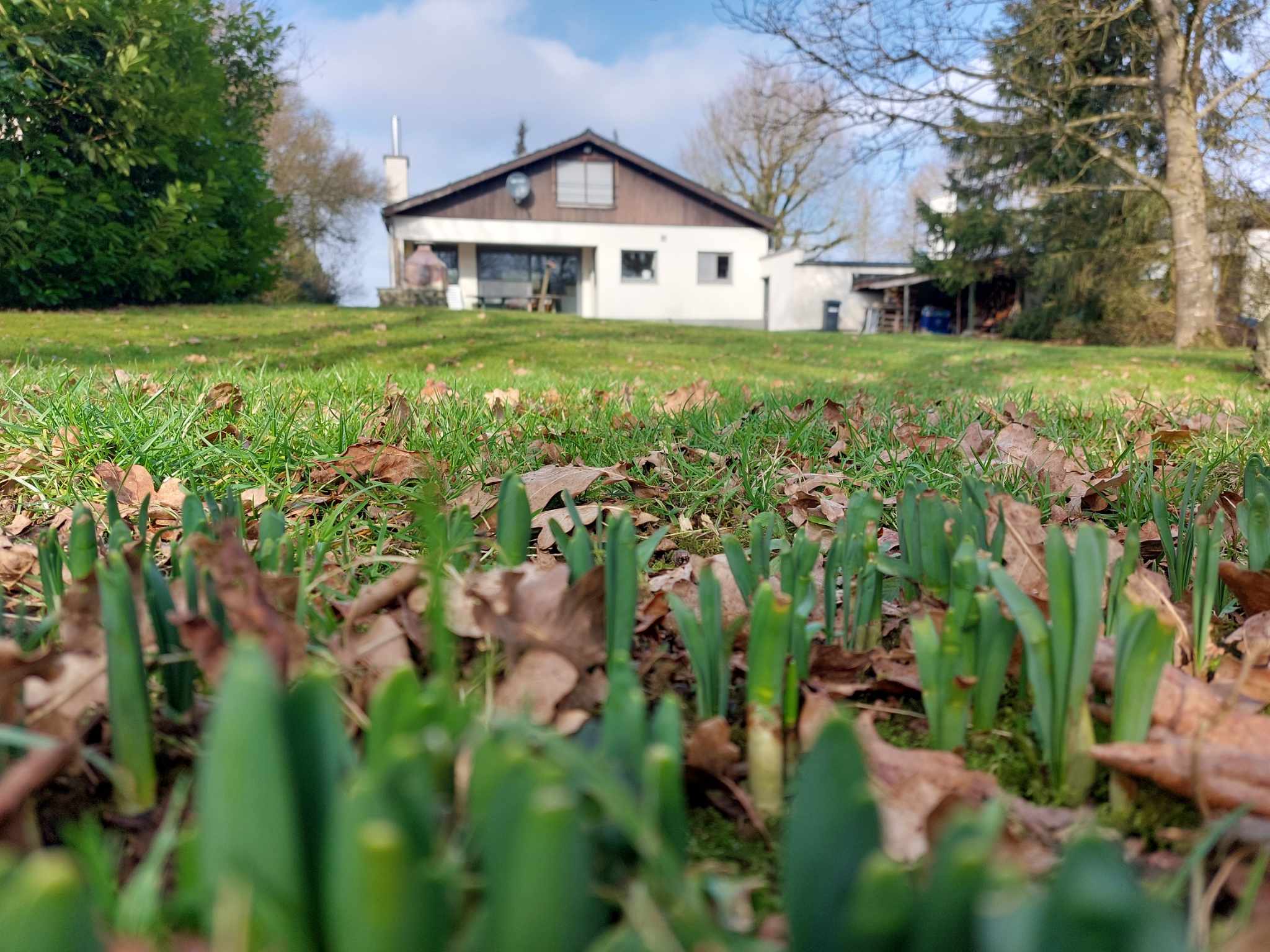 Natuurhuisje in Doische