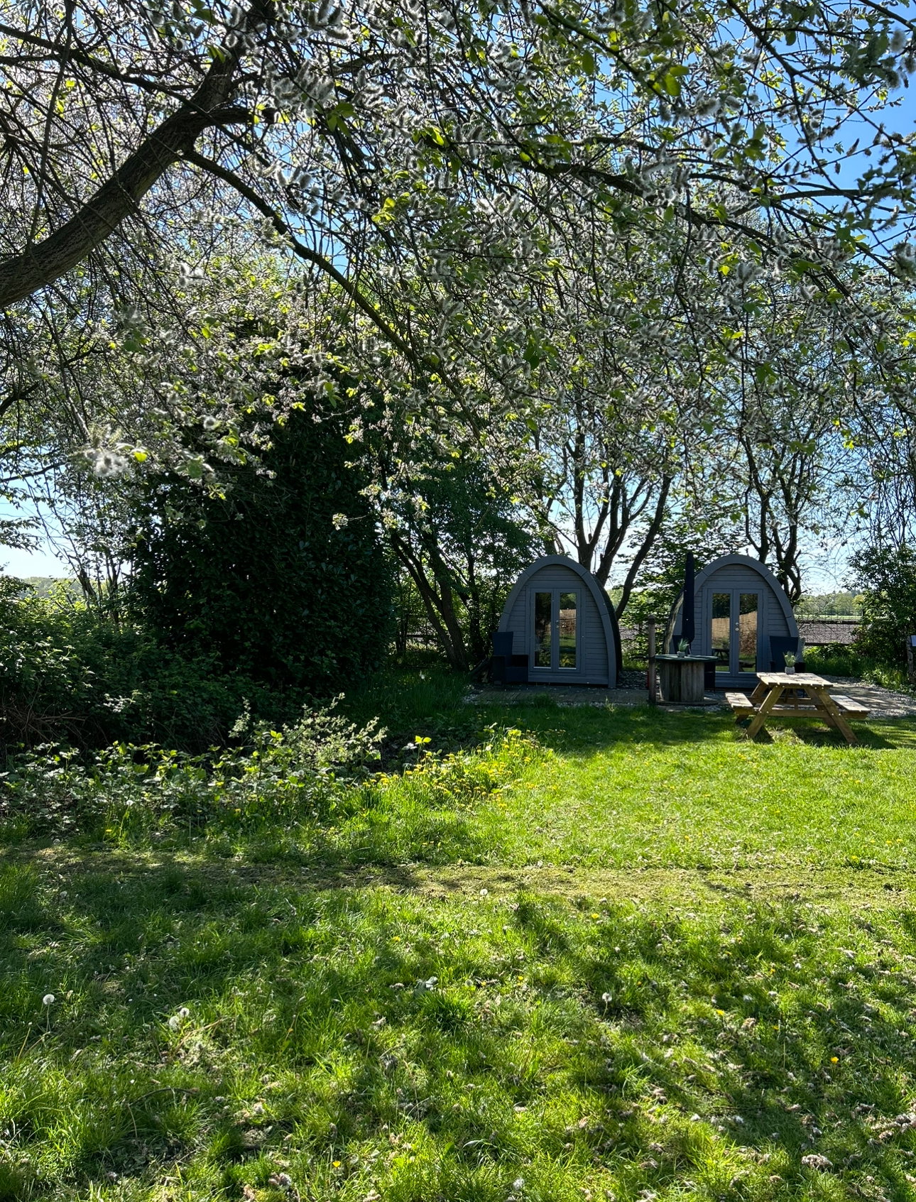 Natuurhuisje in Harfsen