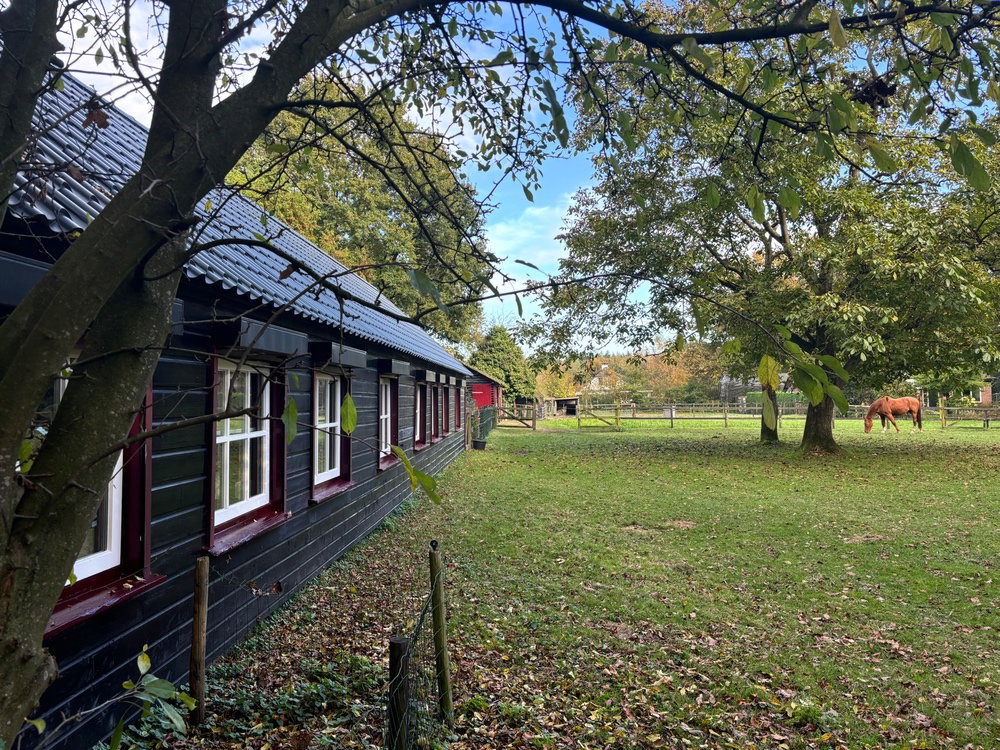 Casa nella natura a Houtdorp  gemeente Ermelo