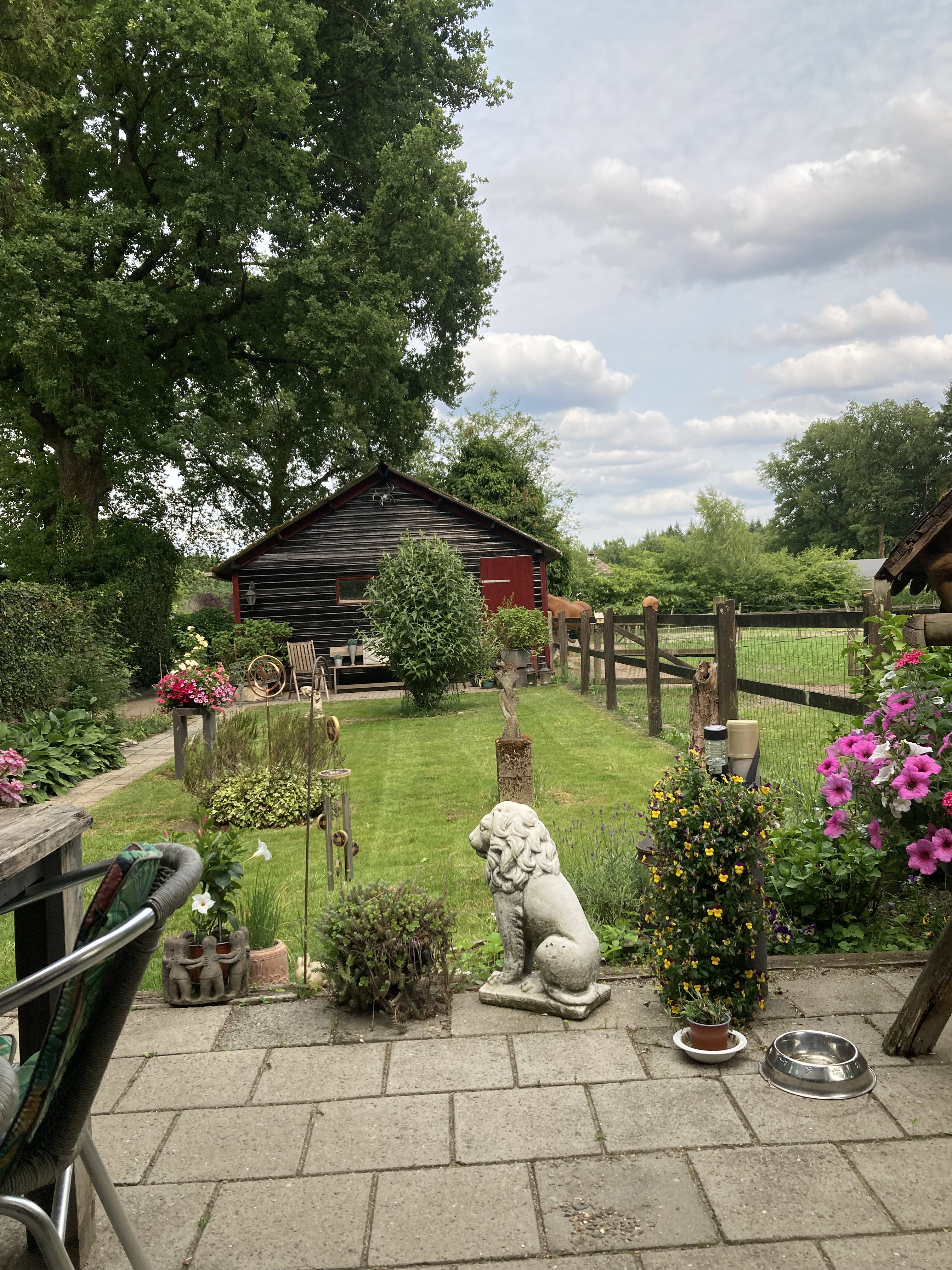 Natuurhuisje in Houtdorp  gemeente Ermelo