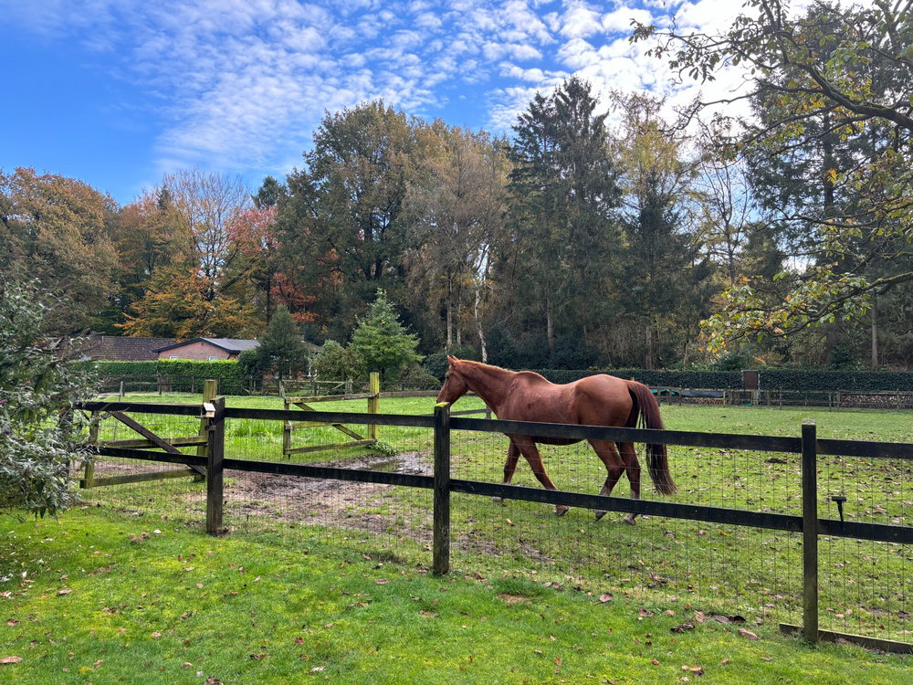 Casa nella natura a Houtdorp  gemeente Ermelo