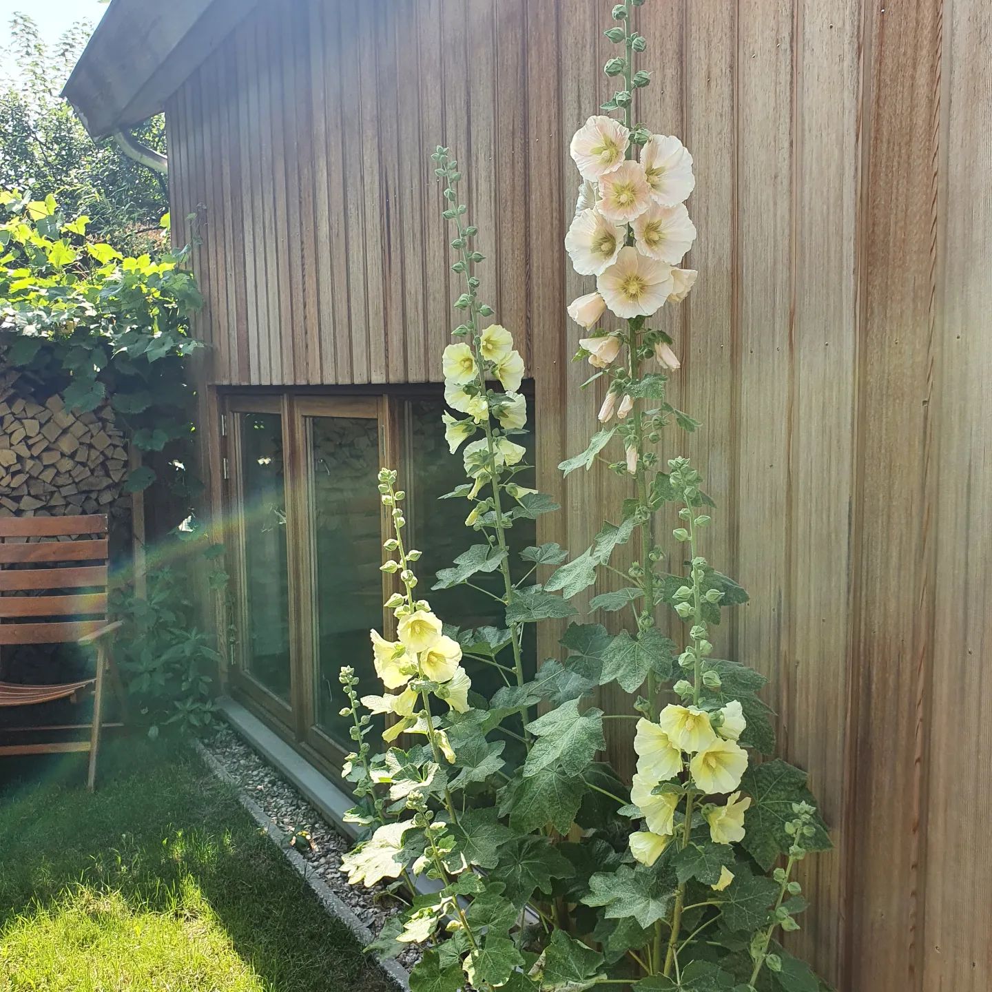 Naturhäuschen in Schoorl