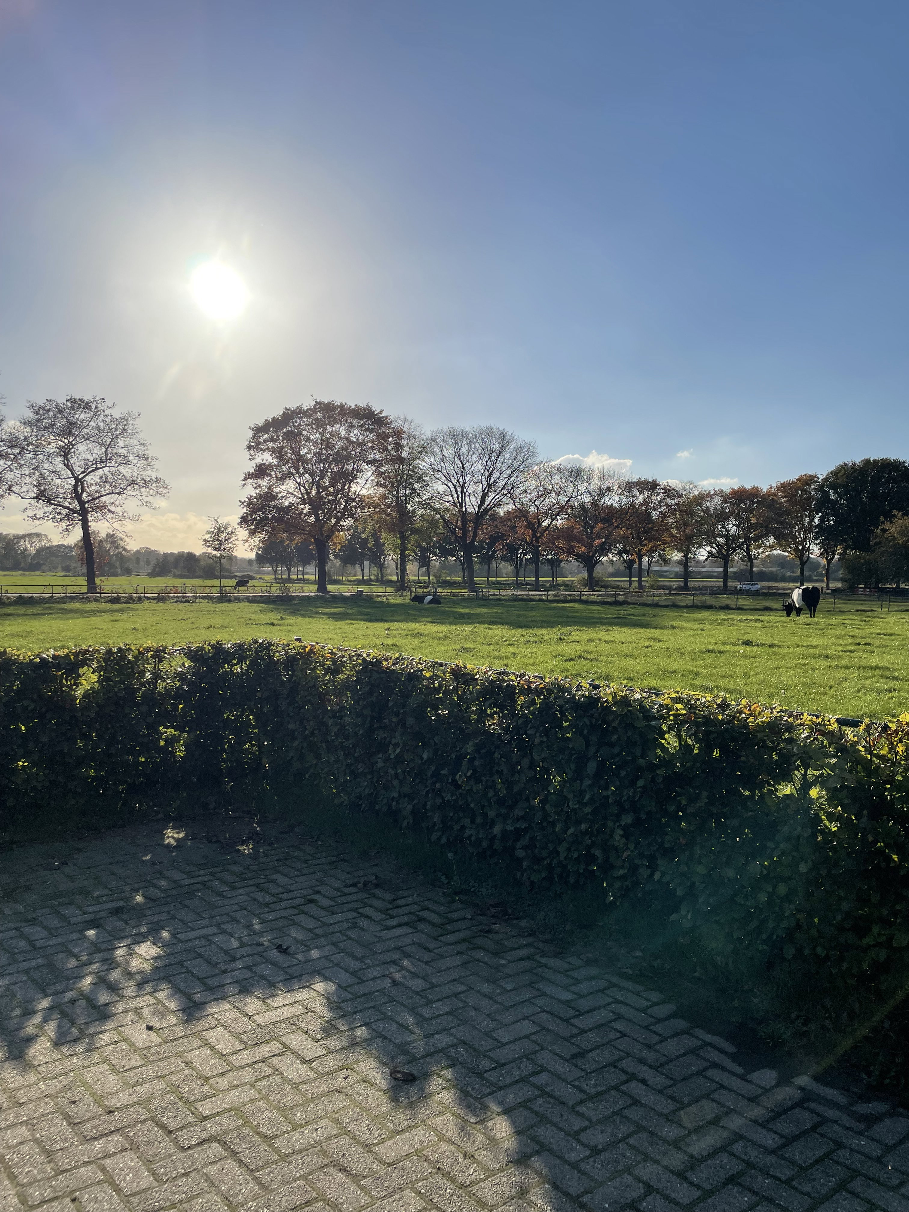 Naturhäuschen in Groesbeek