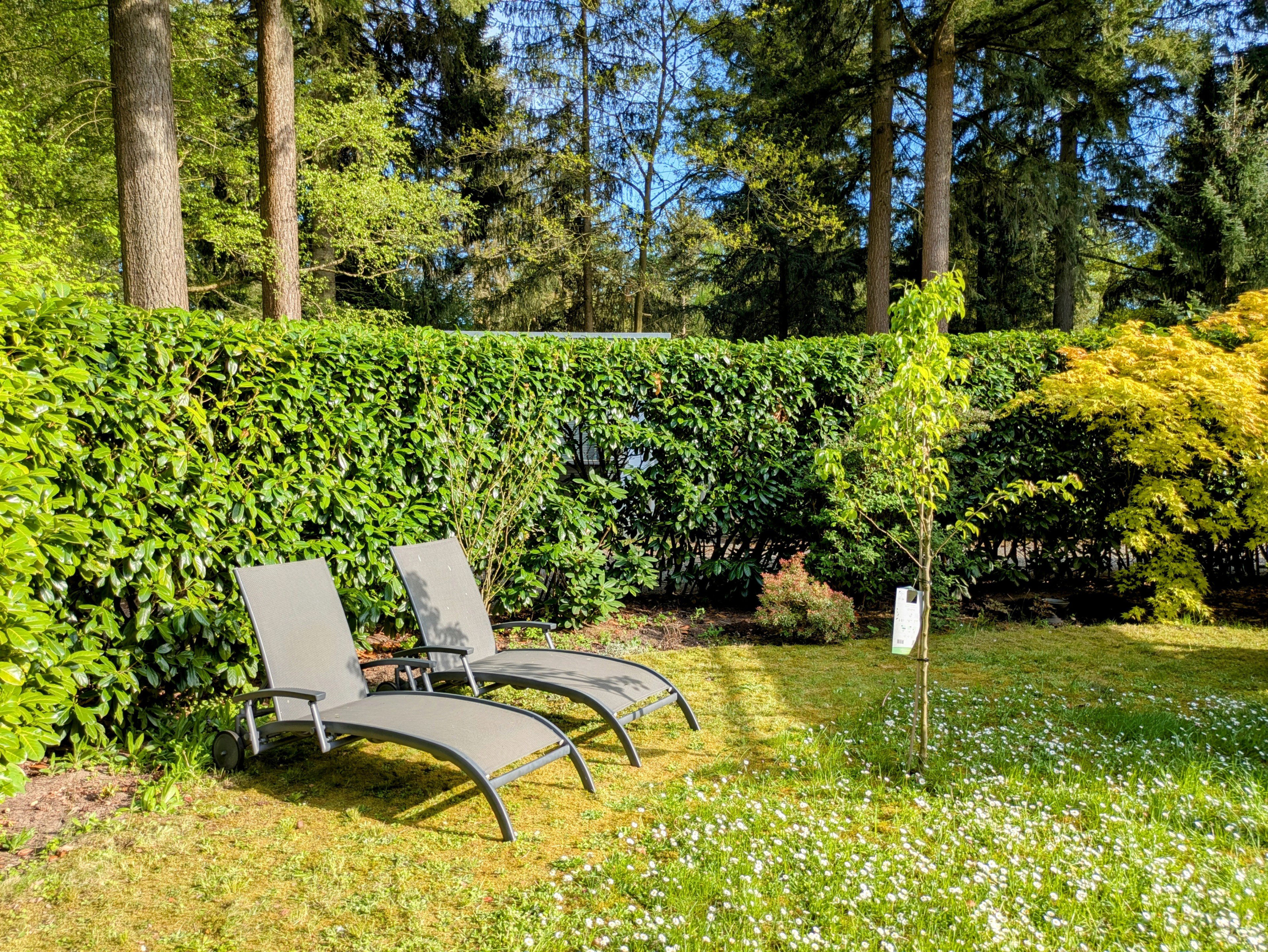 Nature house in Vorden