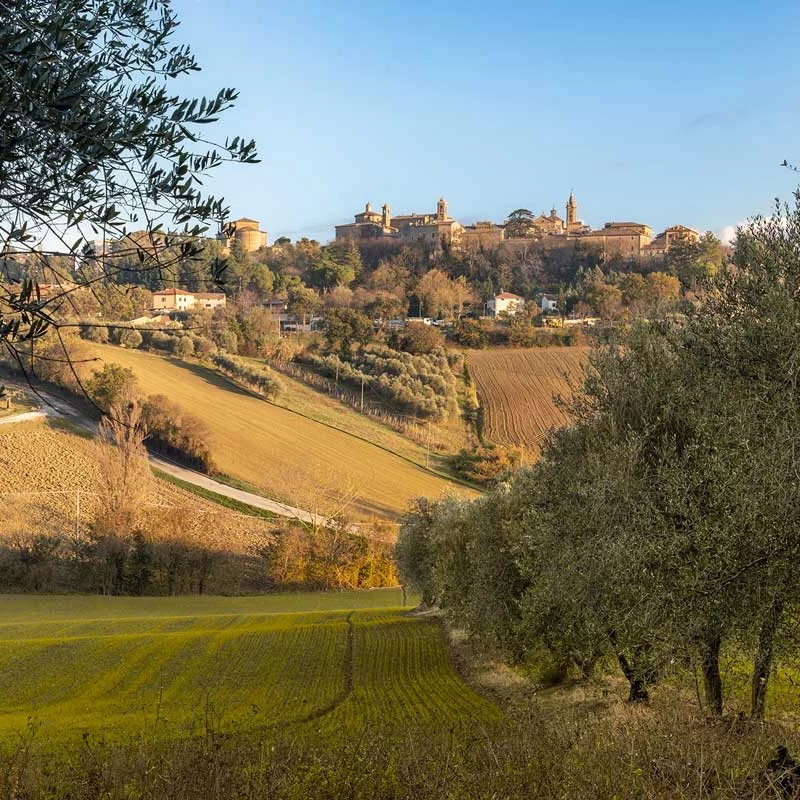 Casa nella natura a Corinaldo