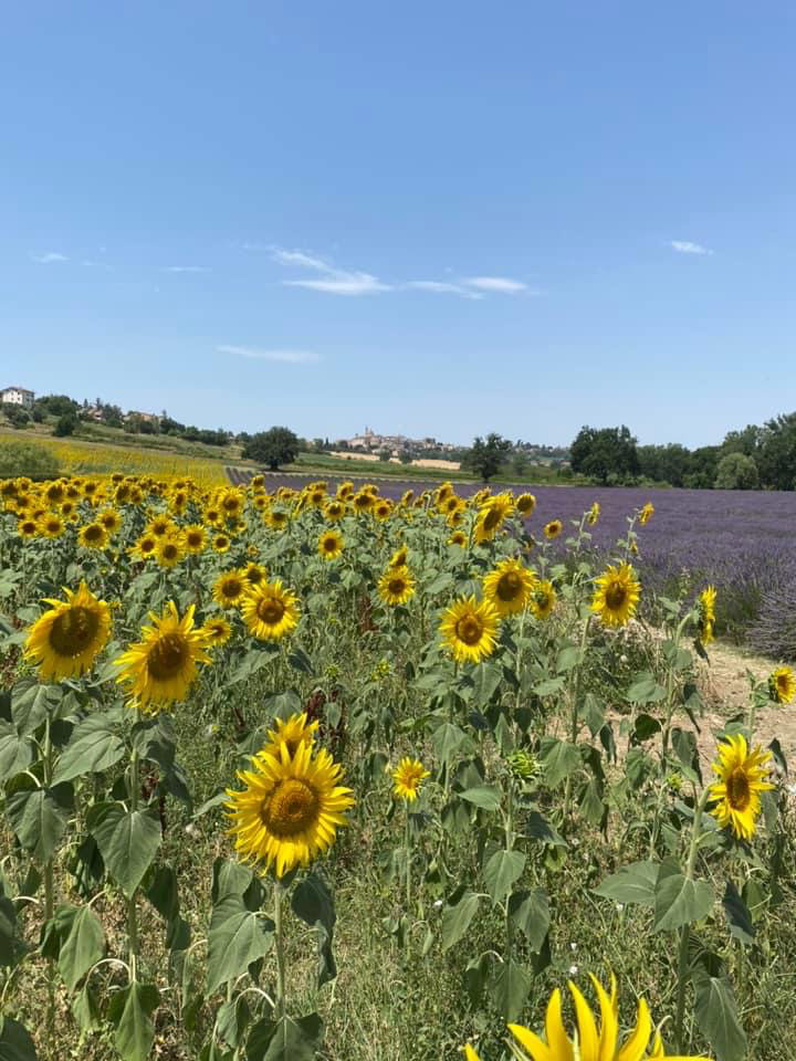 Casa nella natura a Corinaldo