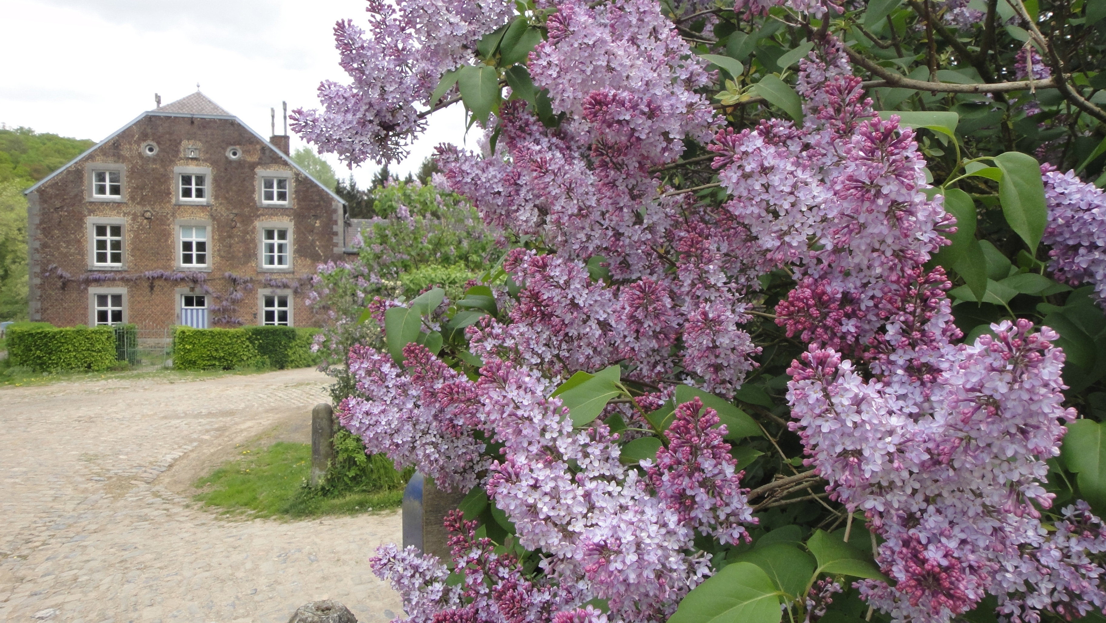 Natuurhuisje in Mortier