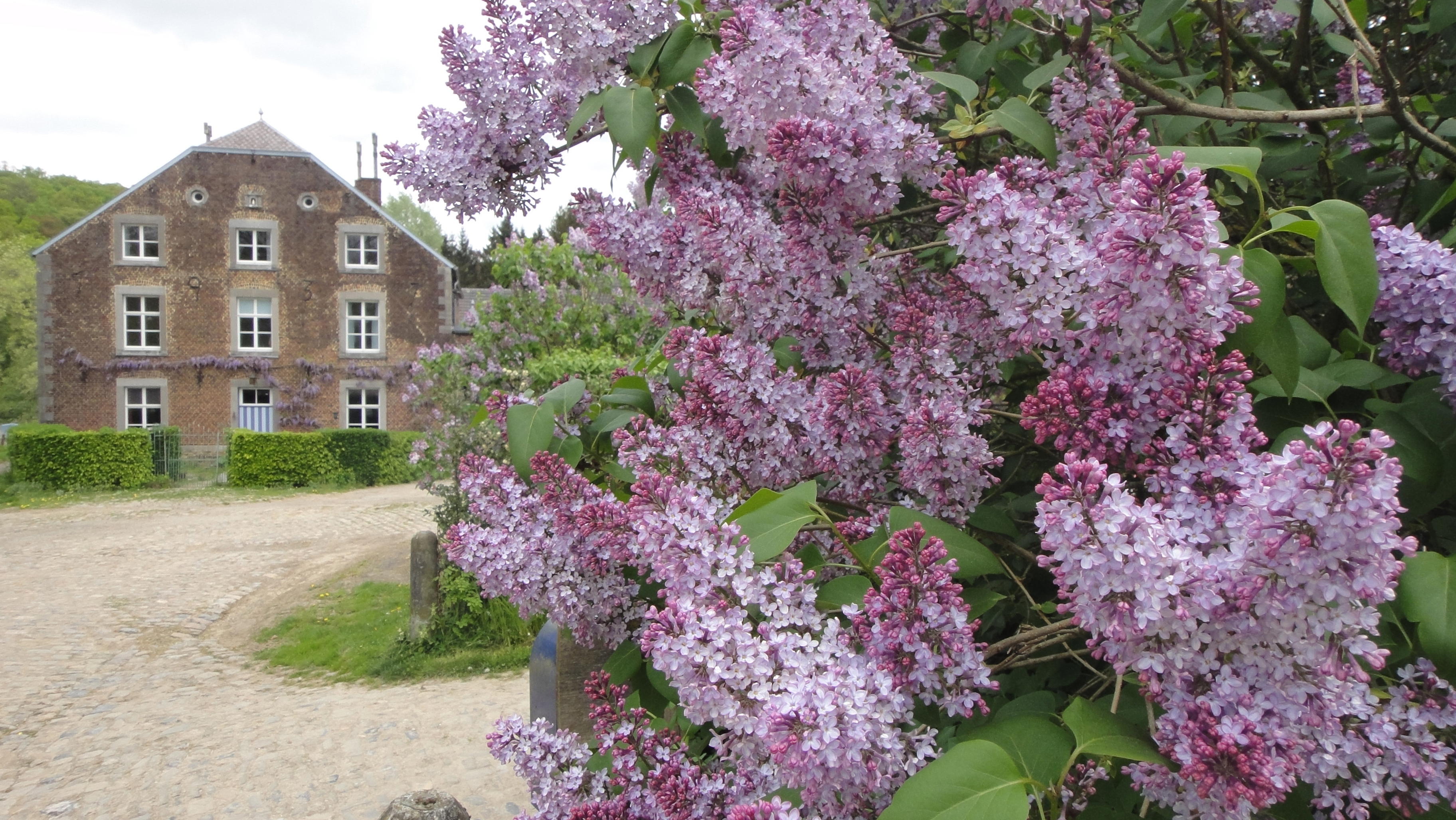 Maison nature à Mortier