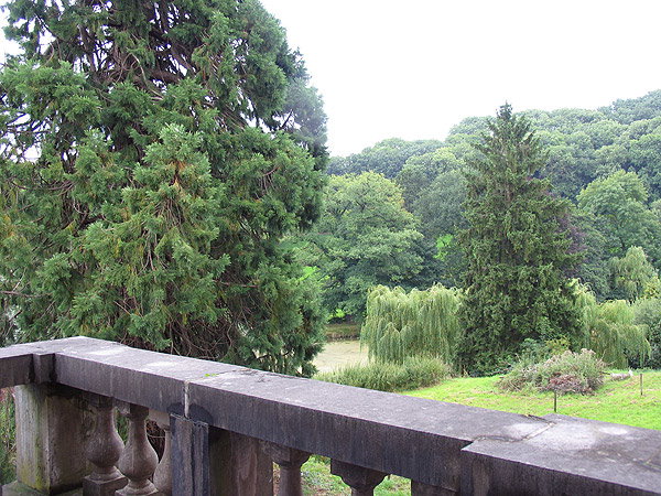 - image: 16