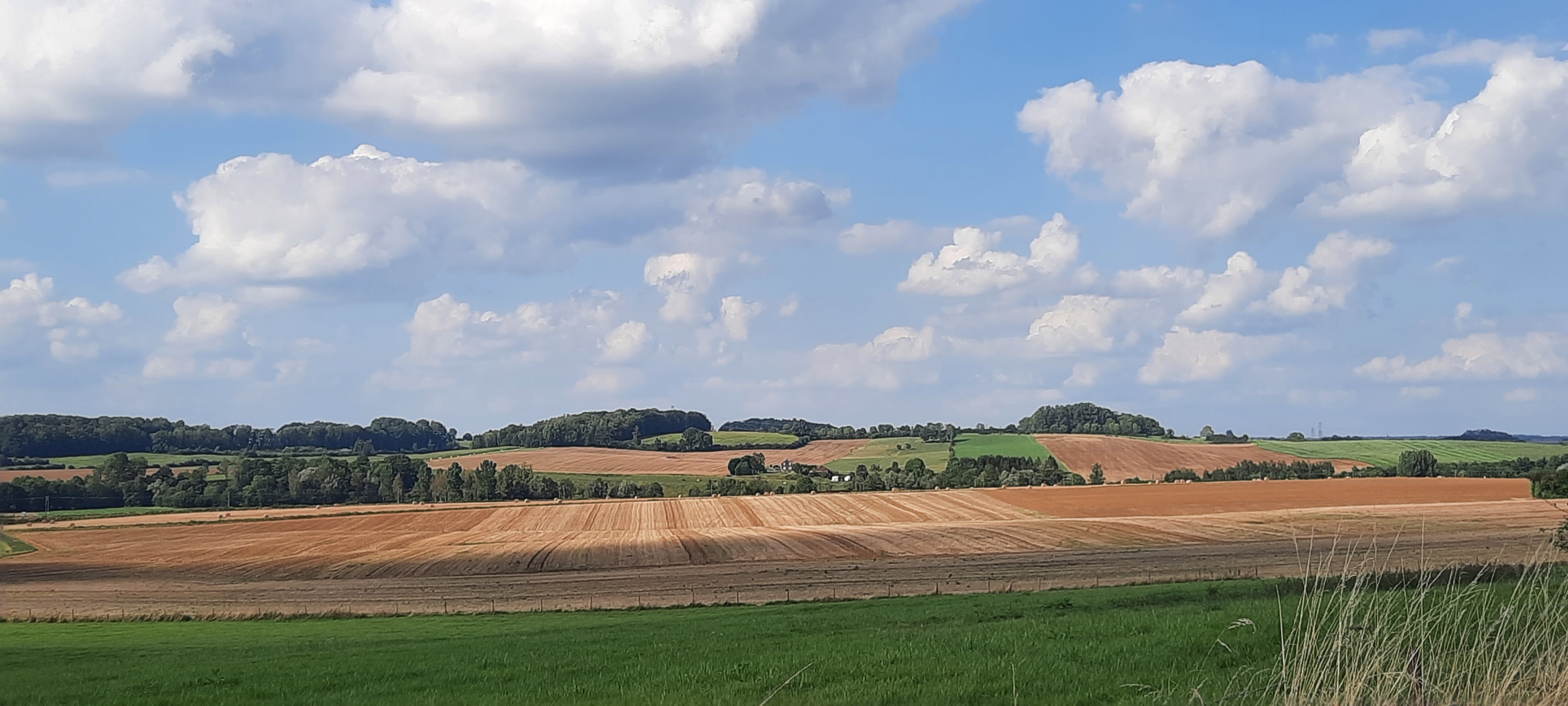 - image: 43