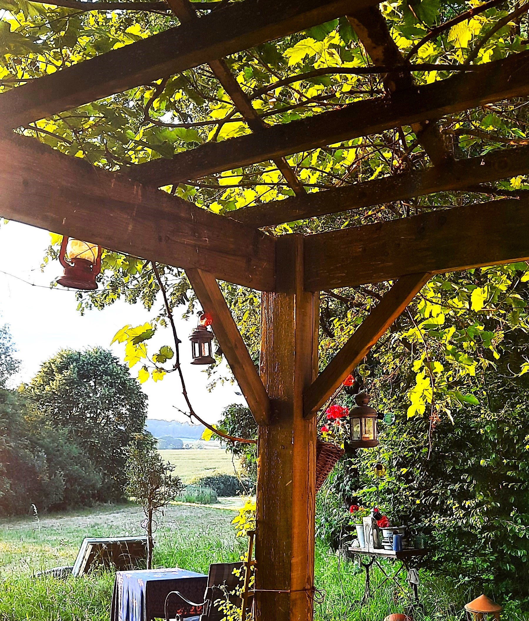 Natuurhuisje in Aubenton