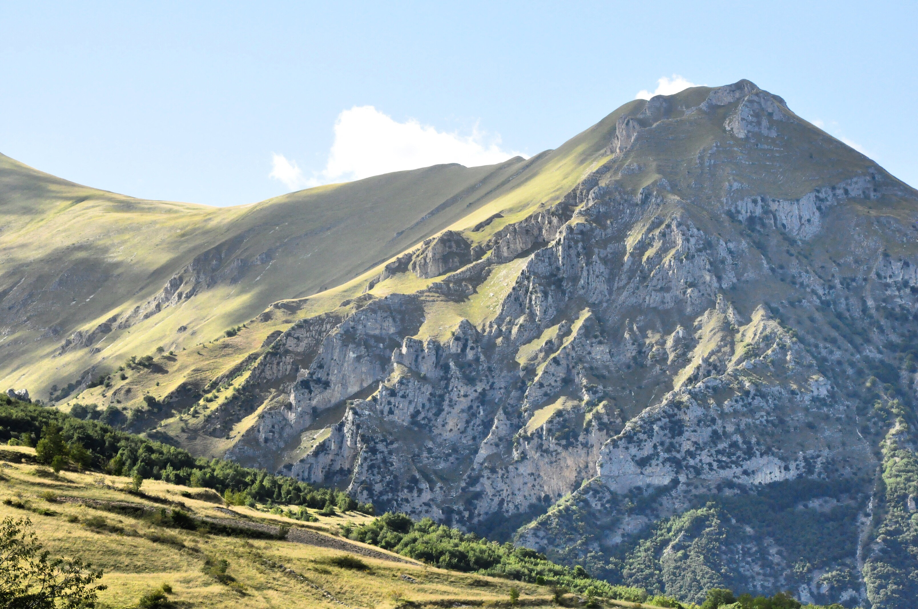 - image: 26