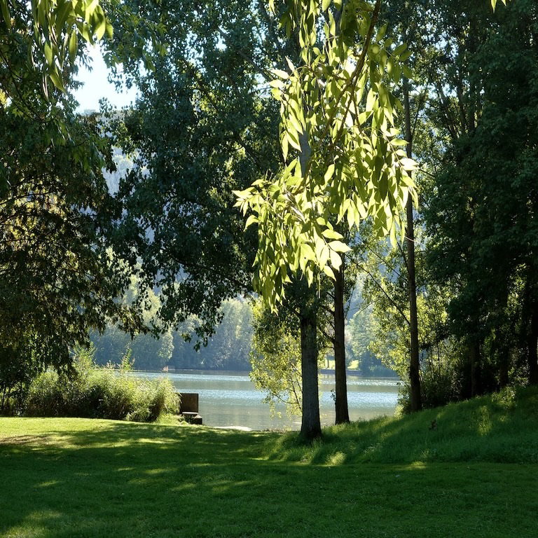 - image: 42