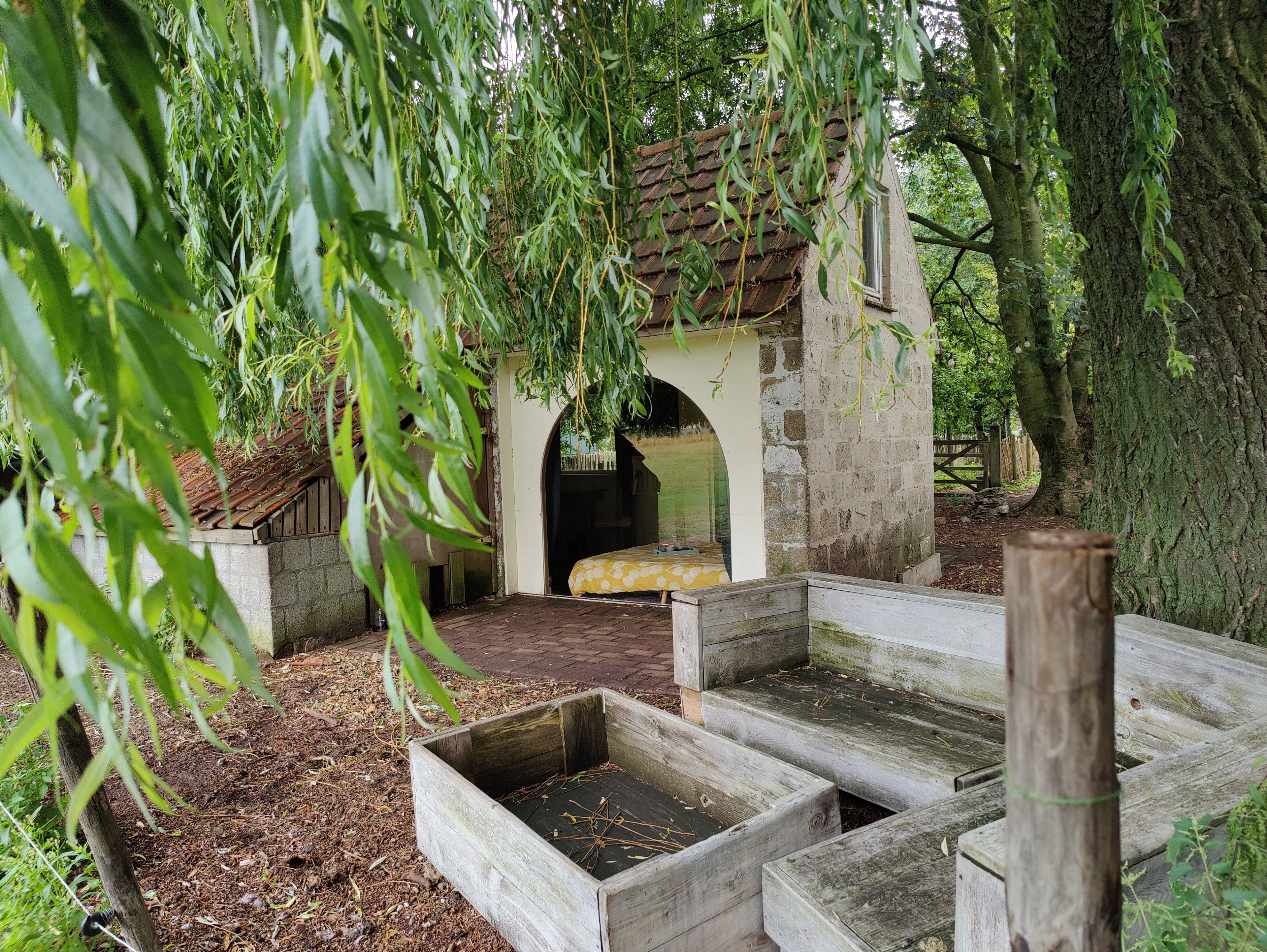 - image: 17