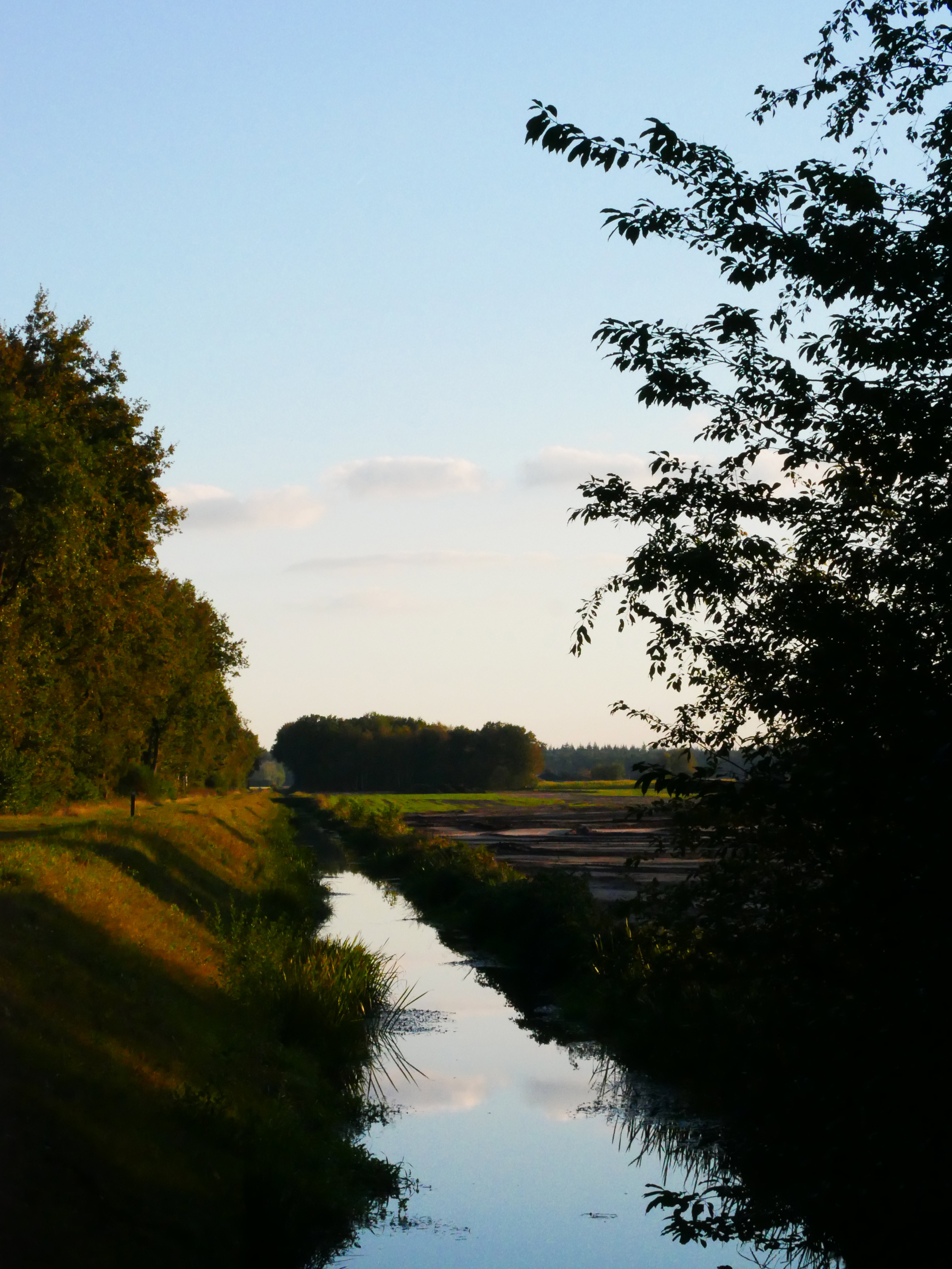- image: 13