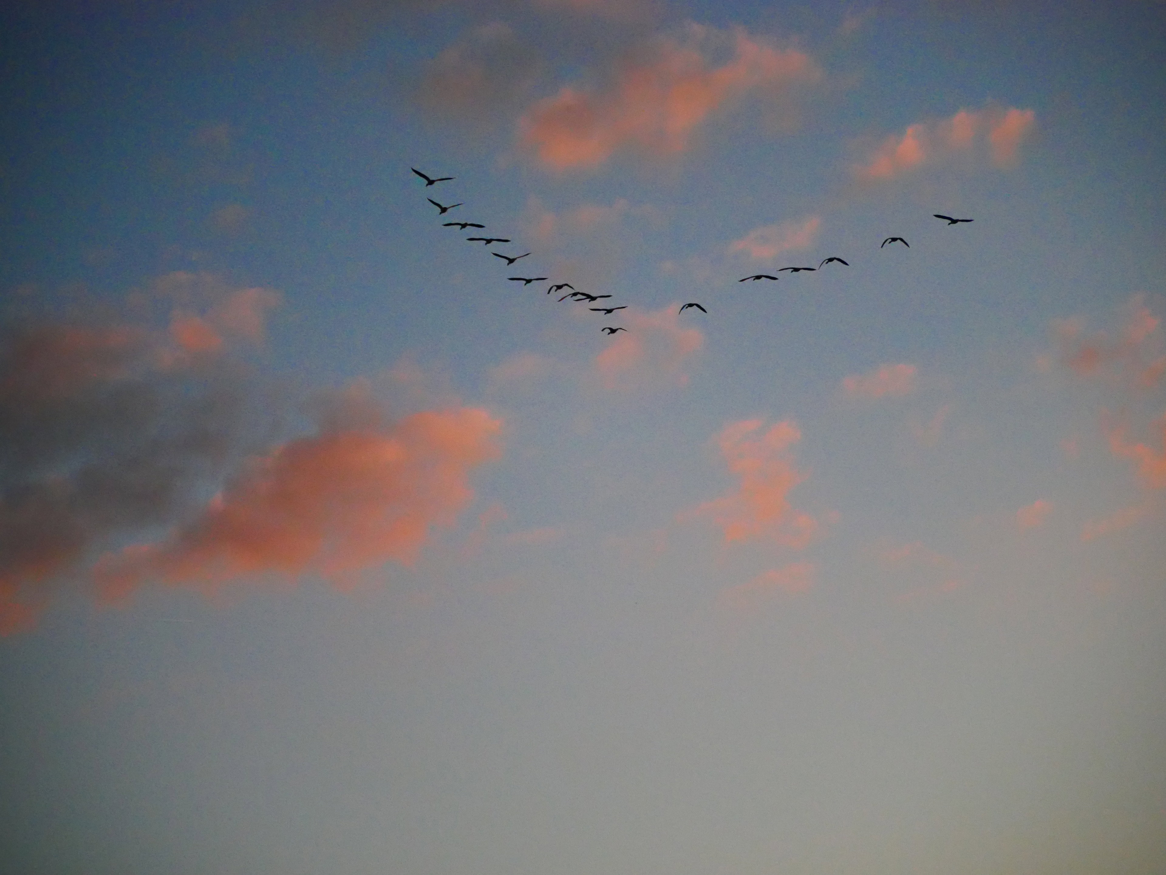 - image: 15