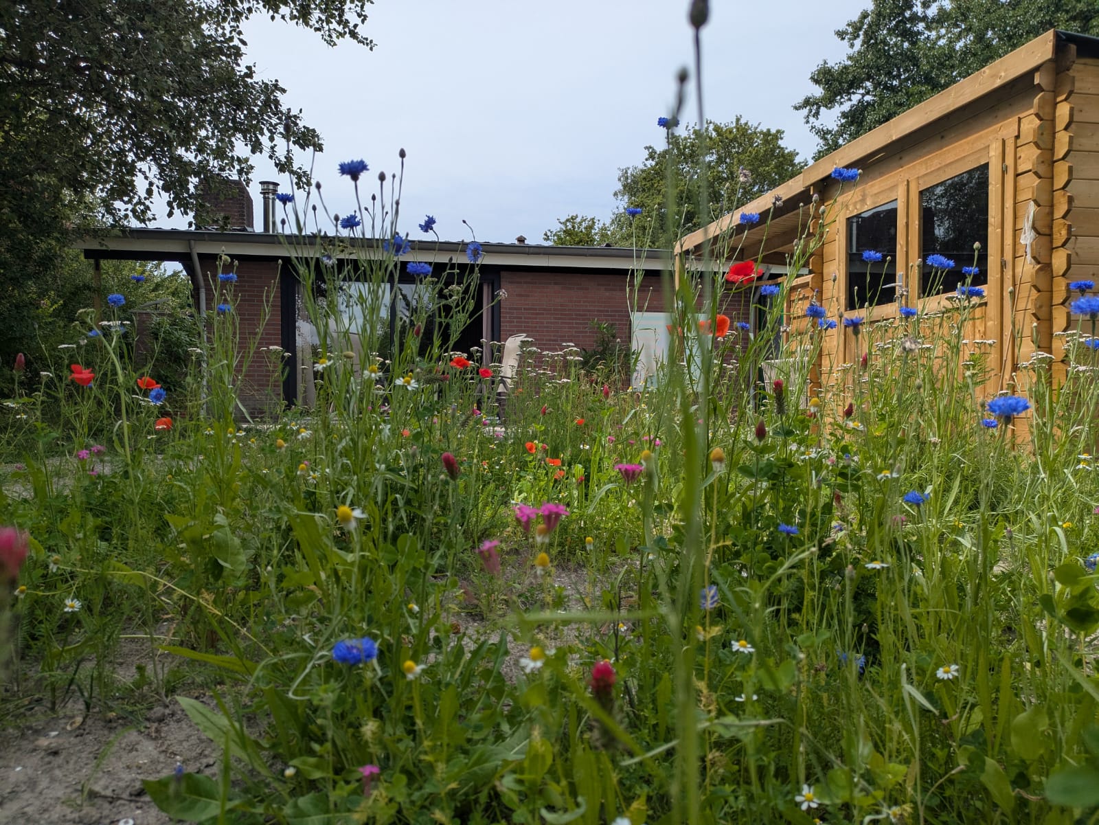 Natuurhuisje in Lauwersoog