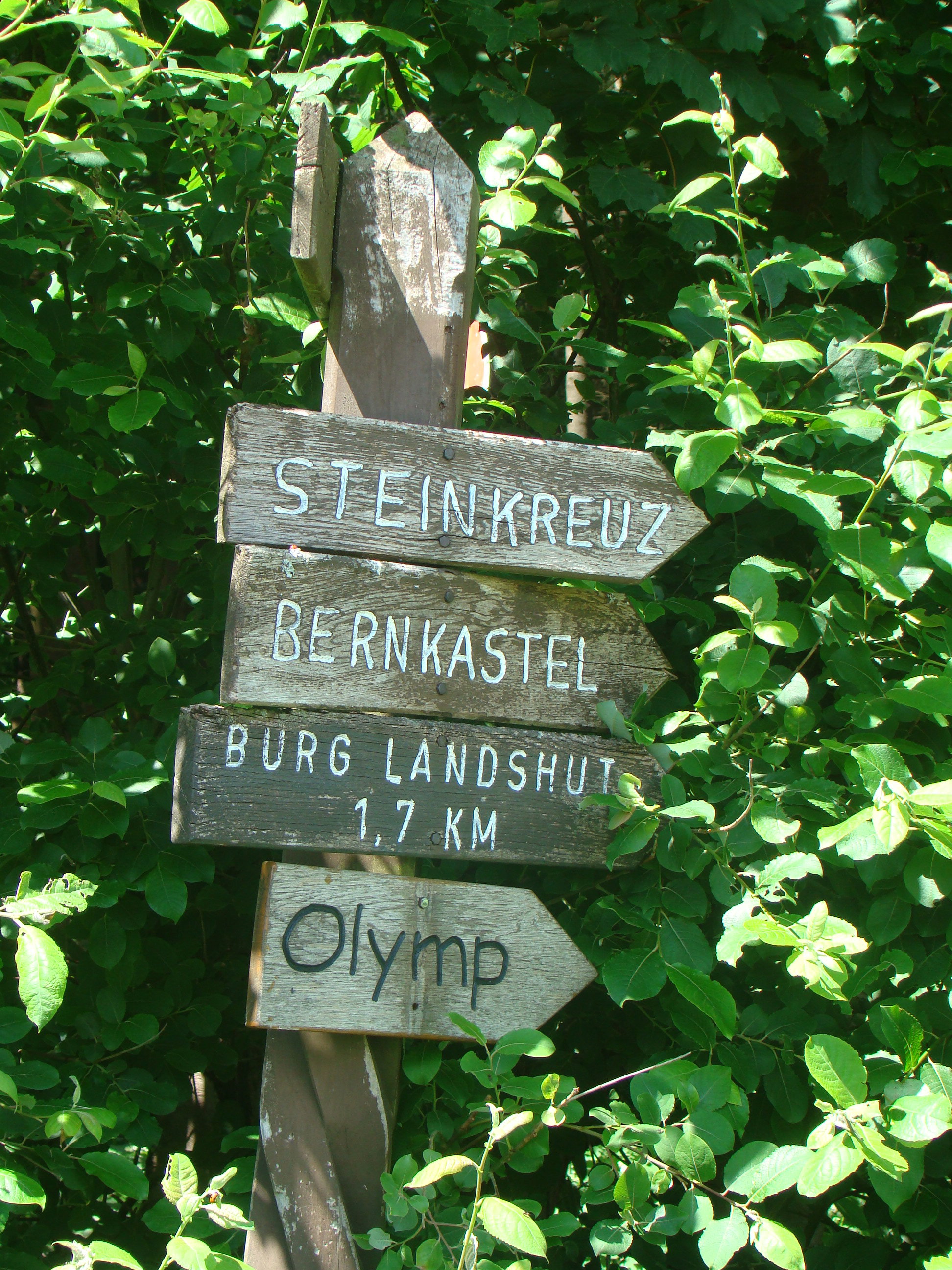 - image: 49