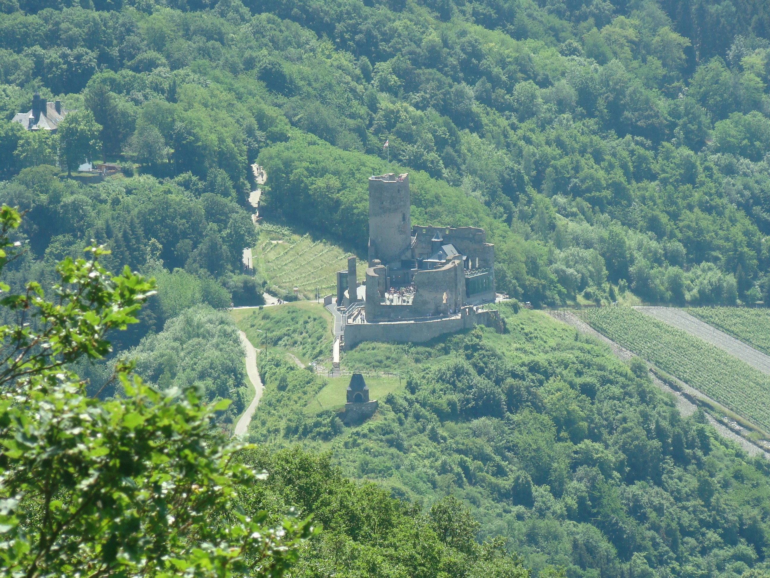 - image: 52