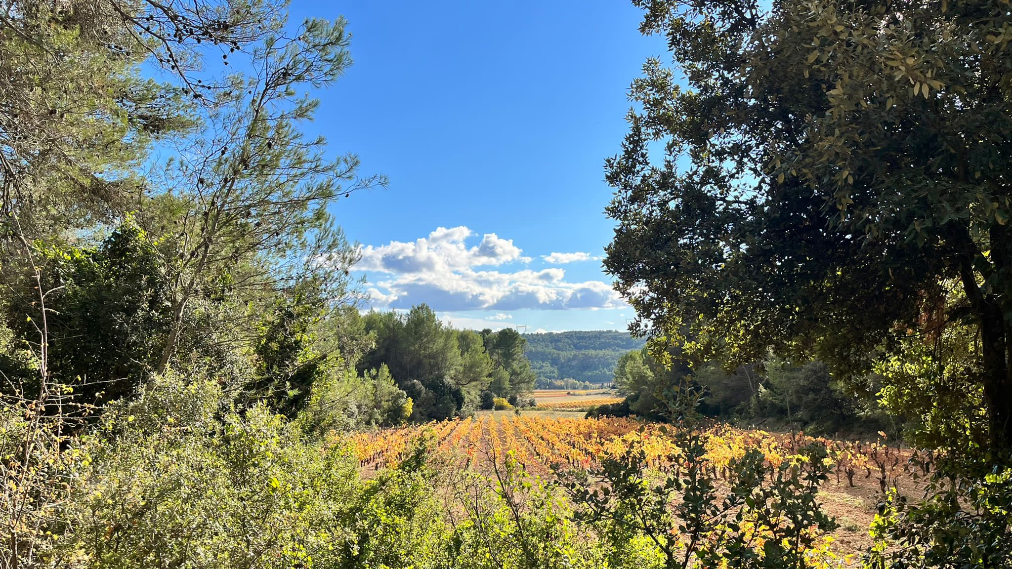 Naturhäuschen in St. Jean de Minervois