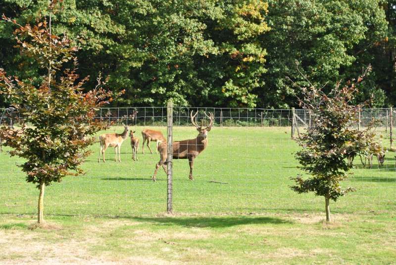 Natuurhuisje in Ambt Delden