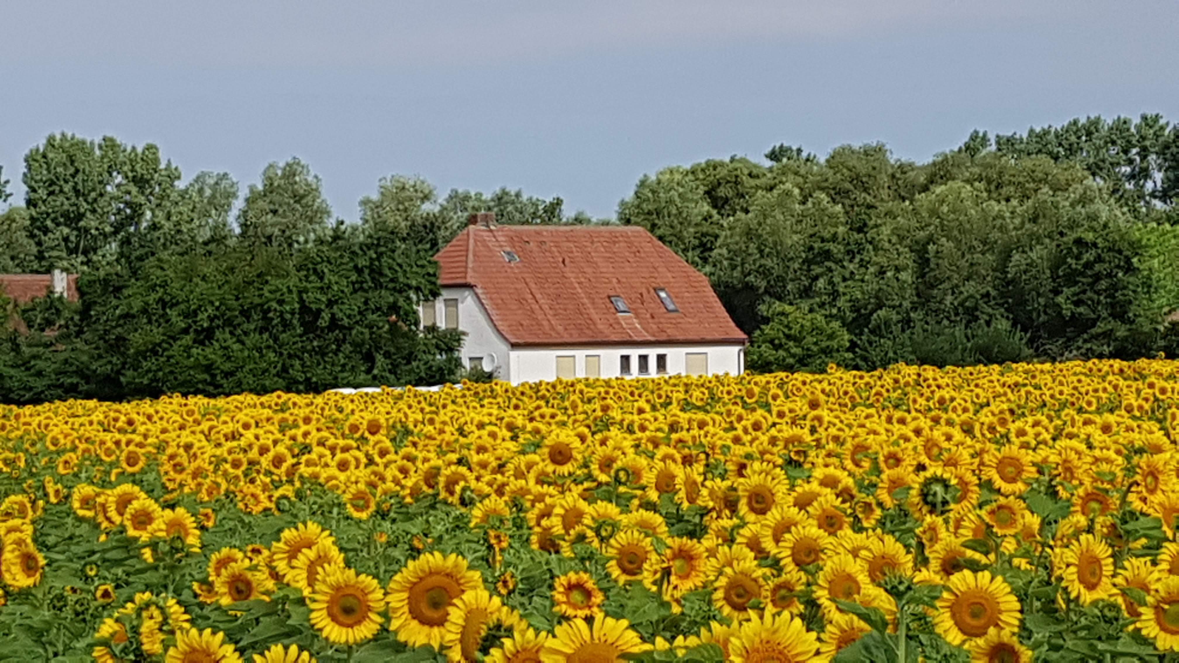 Maison nature à Castell