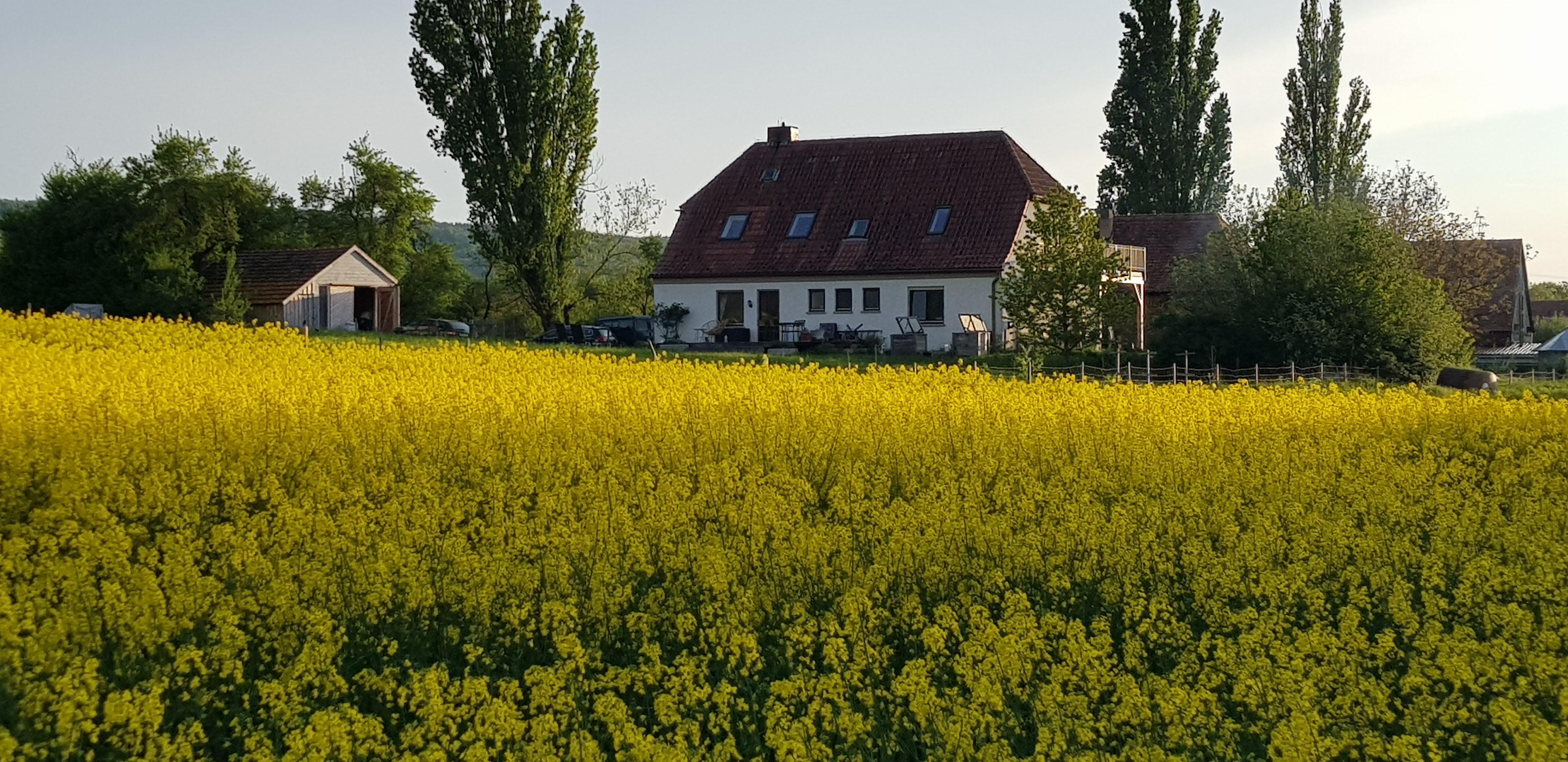 Maison nature à Castell