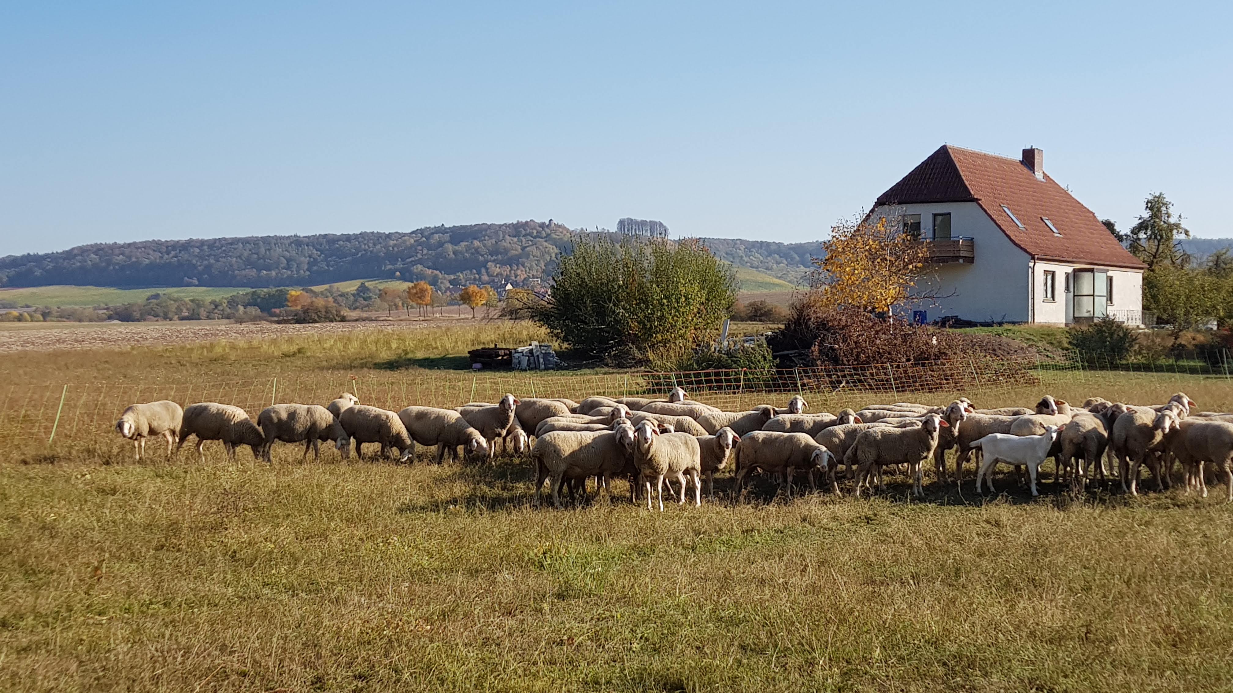 Maison nature à Castell