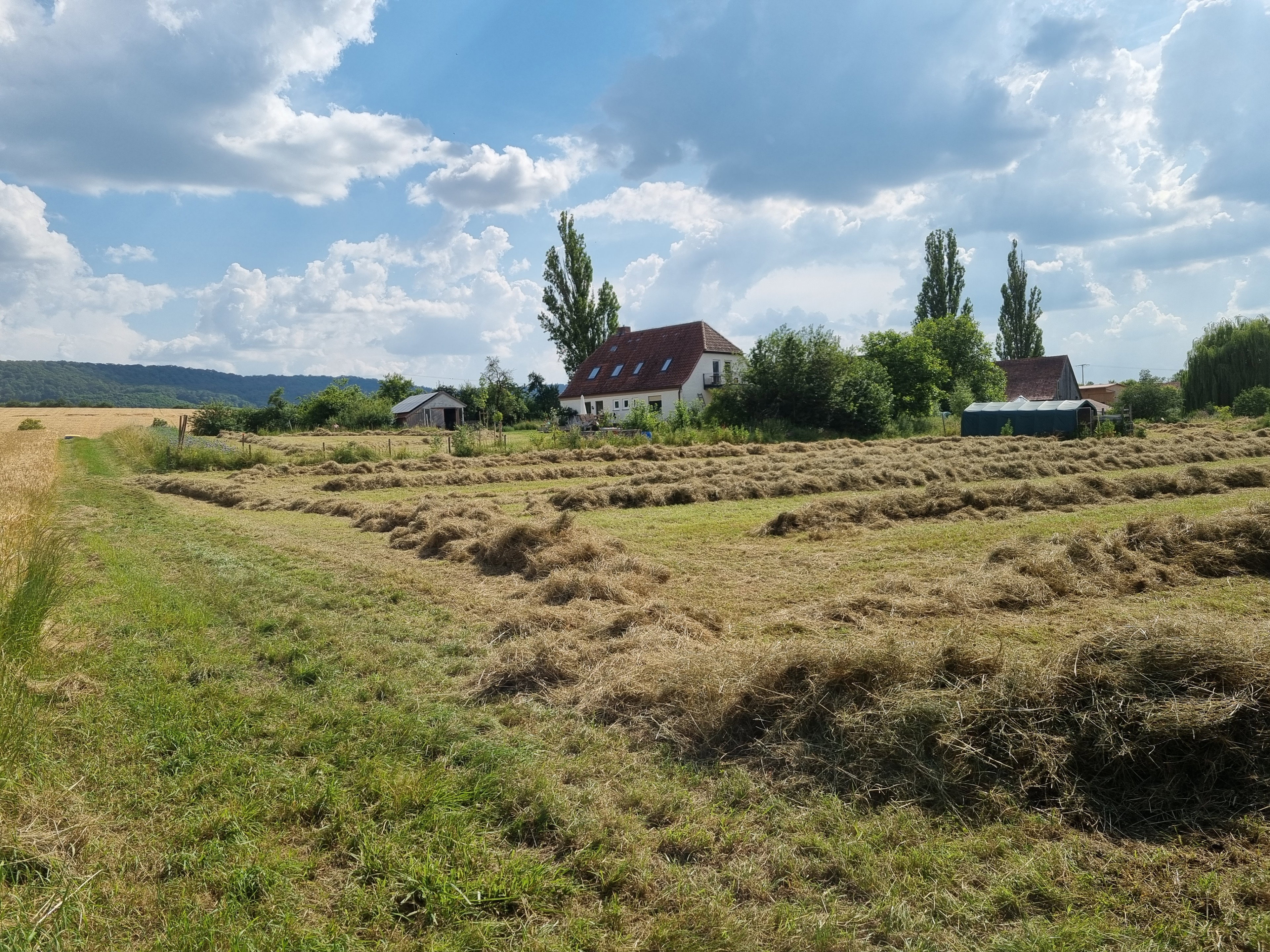 Maison nature à Castell