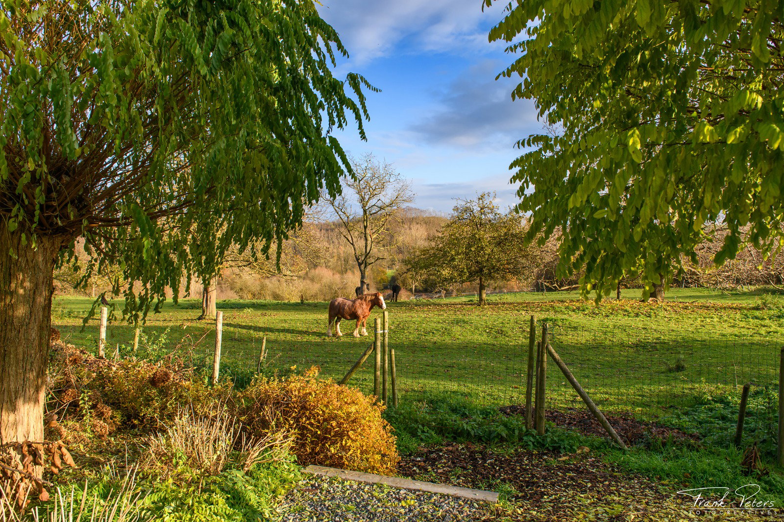 Natuurhuisje in Eben-Emael