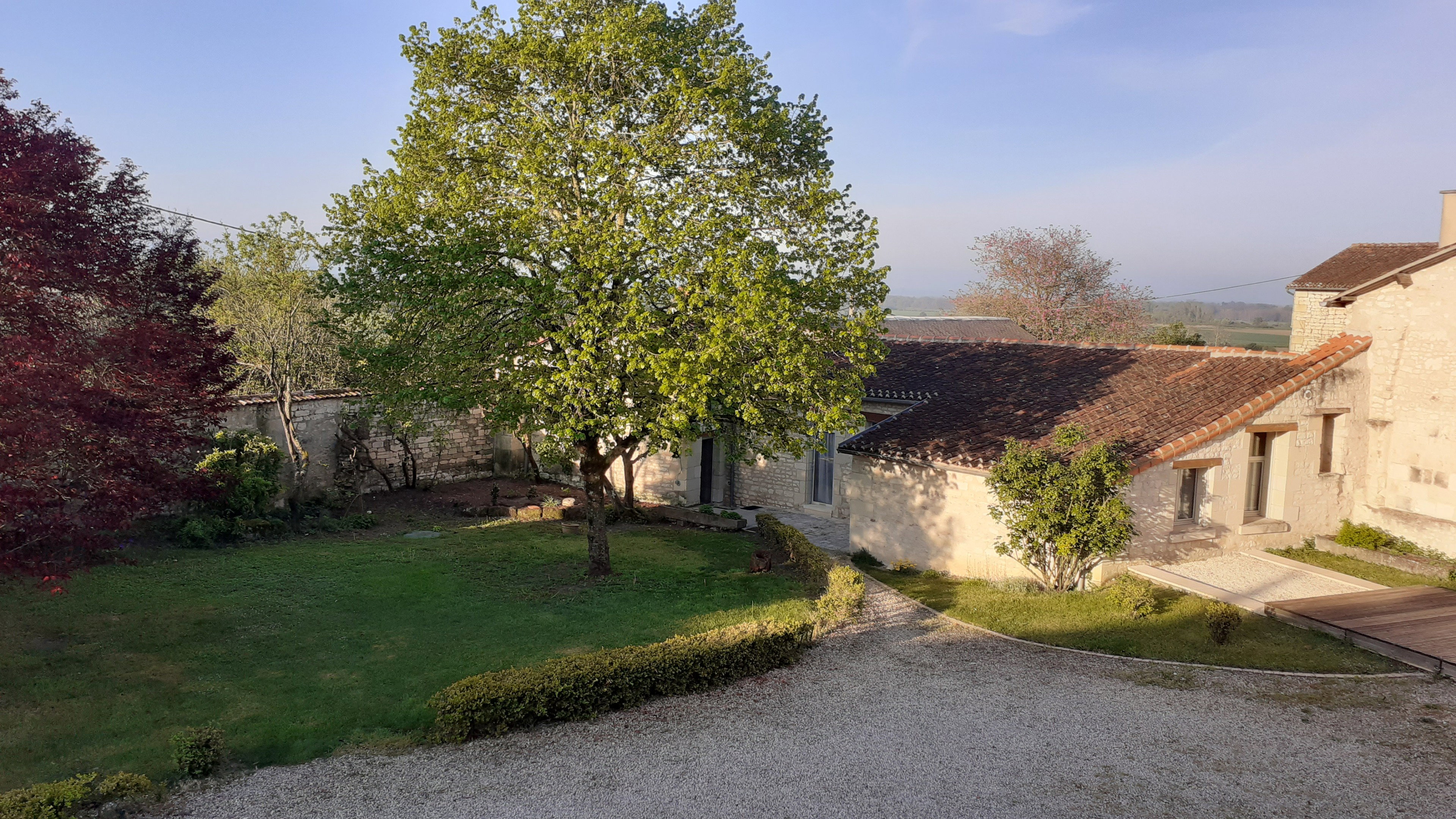 - image: 1