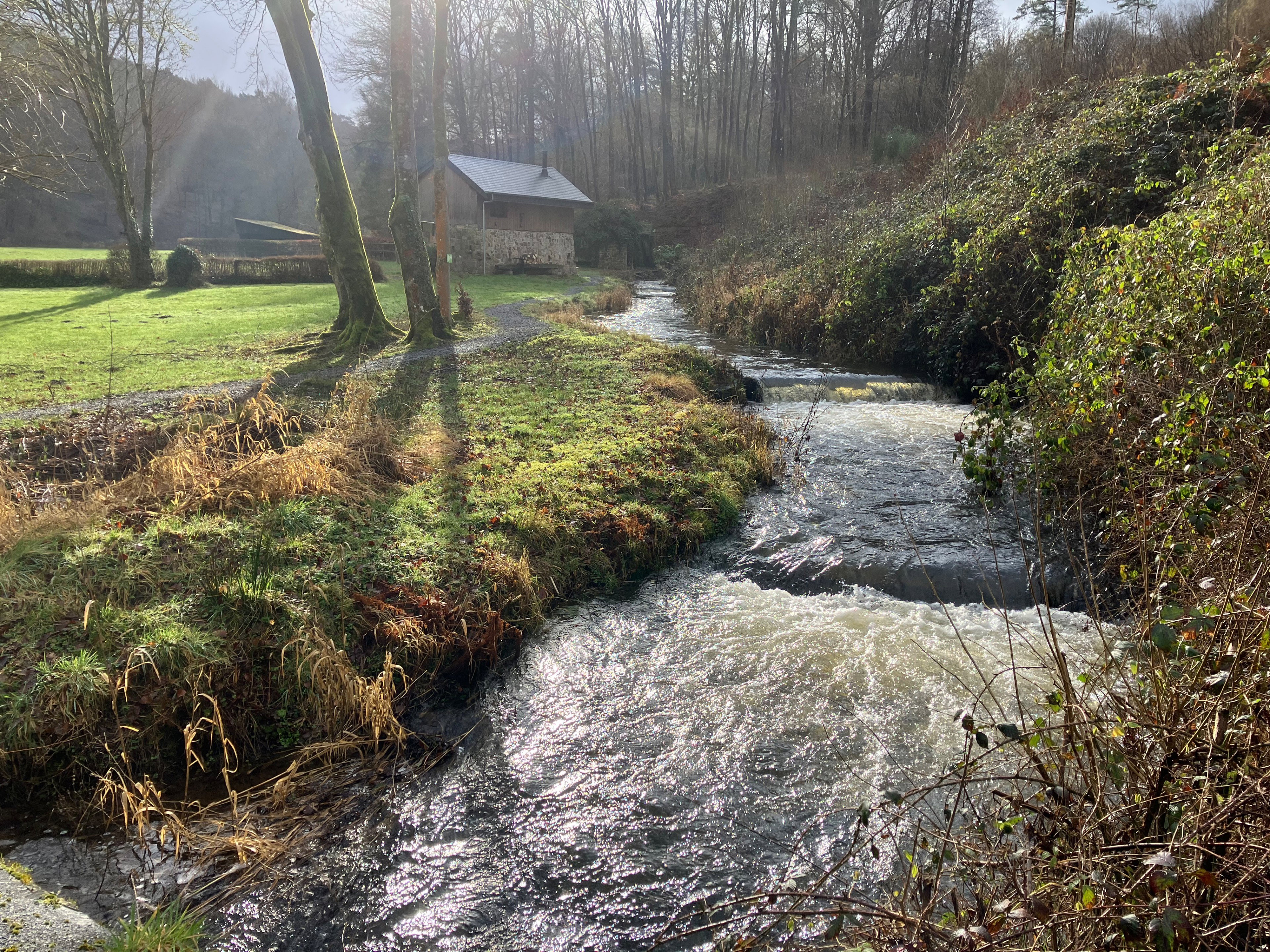 Naturhäuschen in Couvin