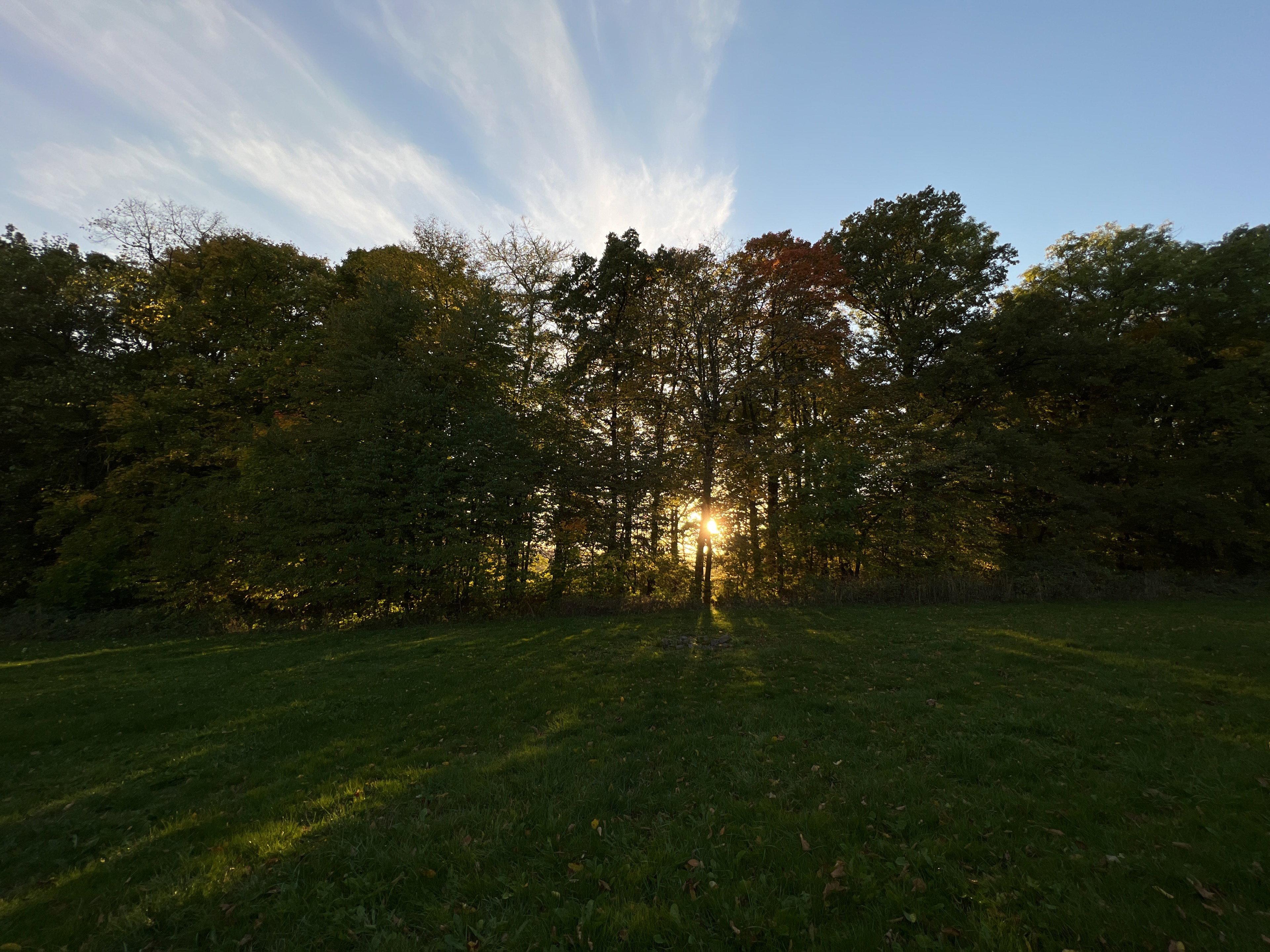 - image: 11