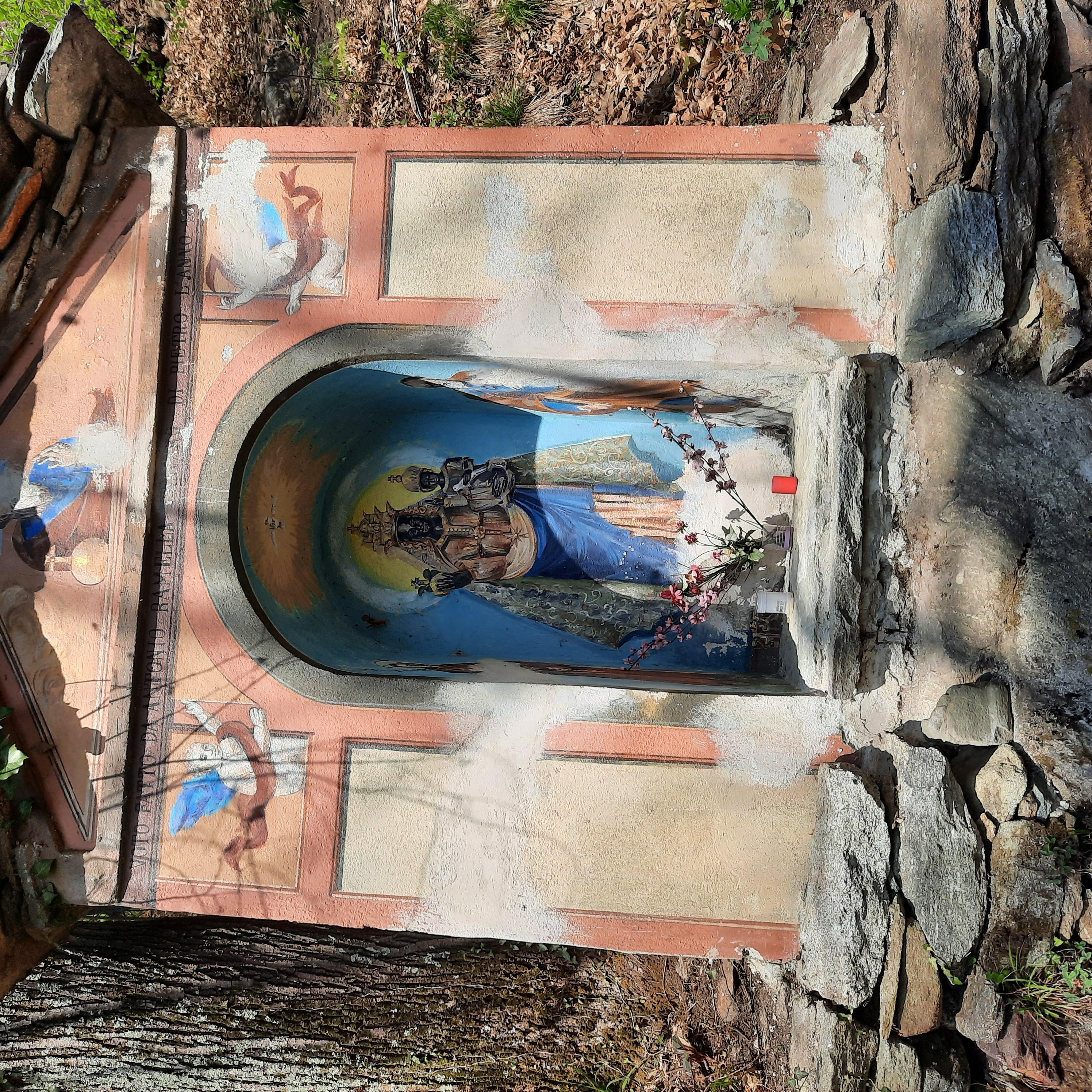 - image: 22