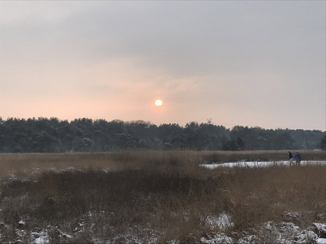 - image: 28