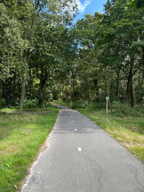 - image: 18