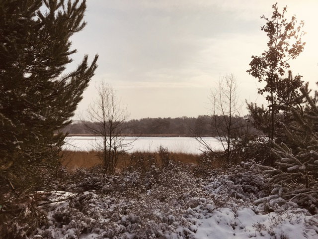 - image: 26