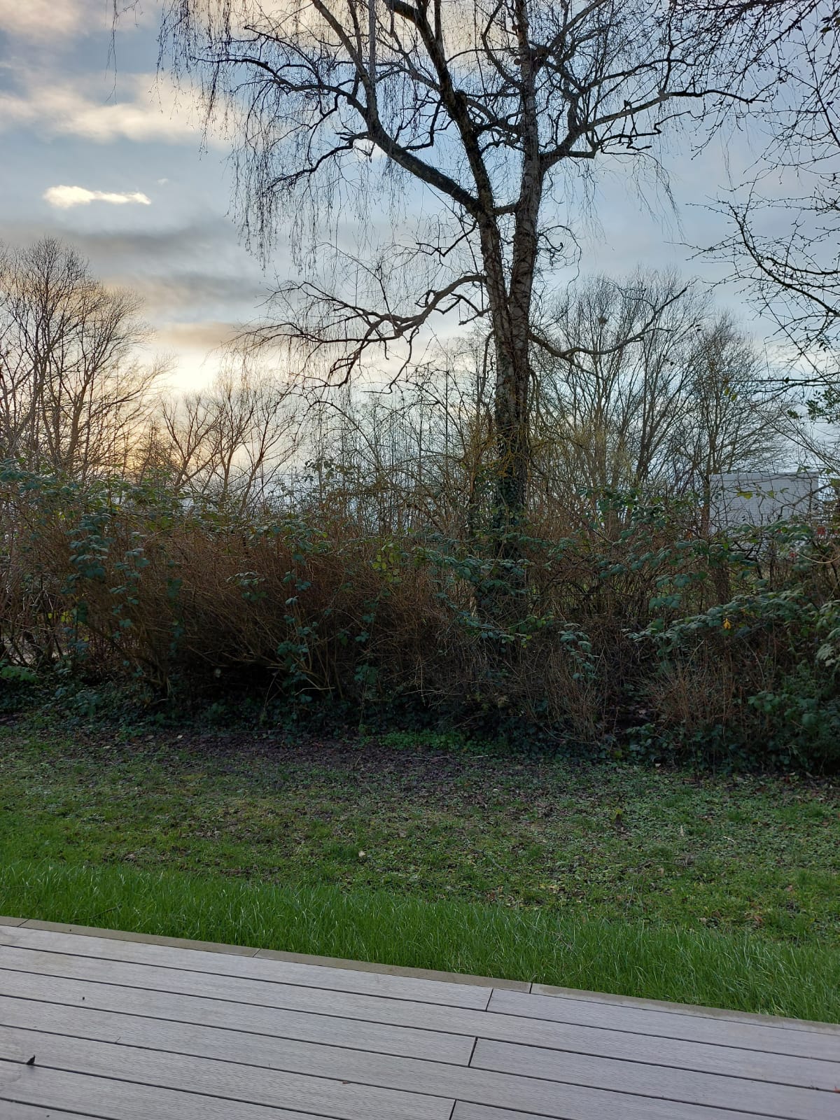 Natuurhuisje in Freckenfeld