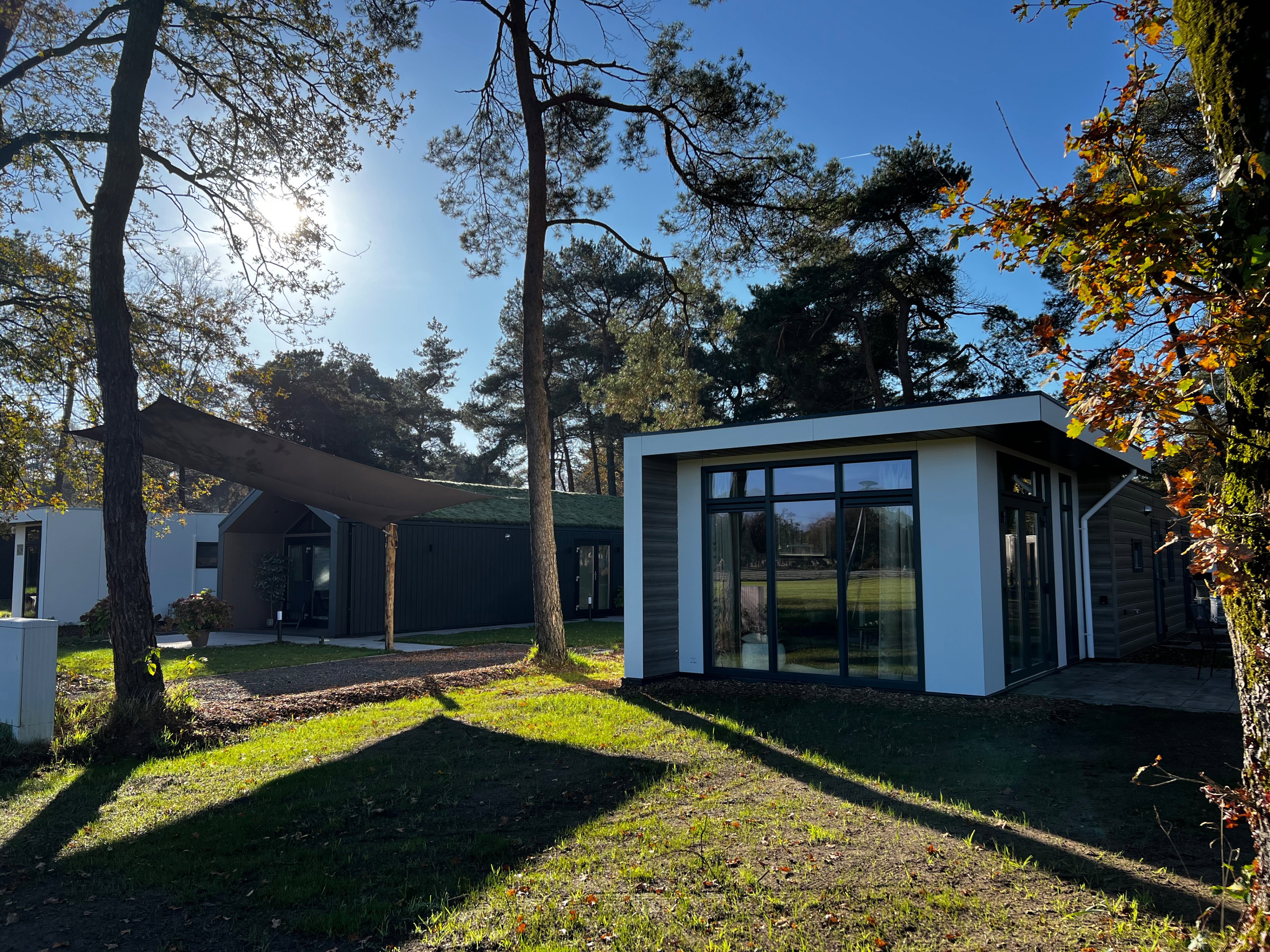 Casa nella natura a Haarle