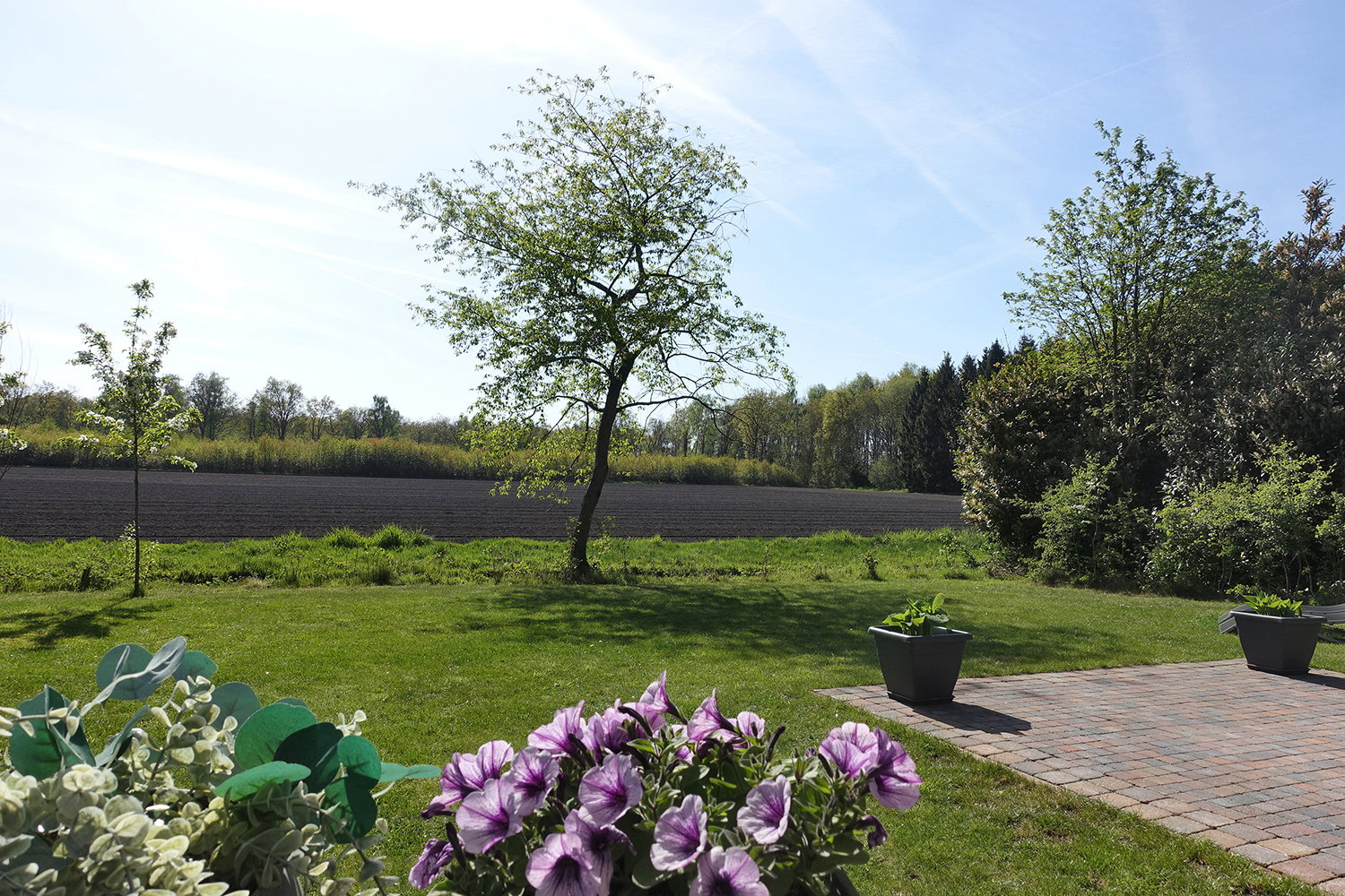 Natuurhuisje in Rheezerveen