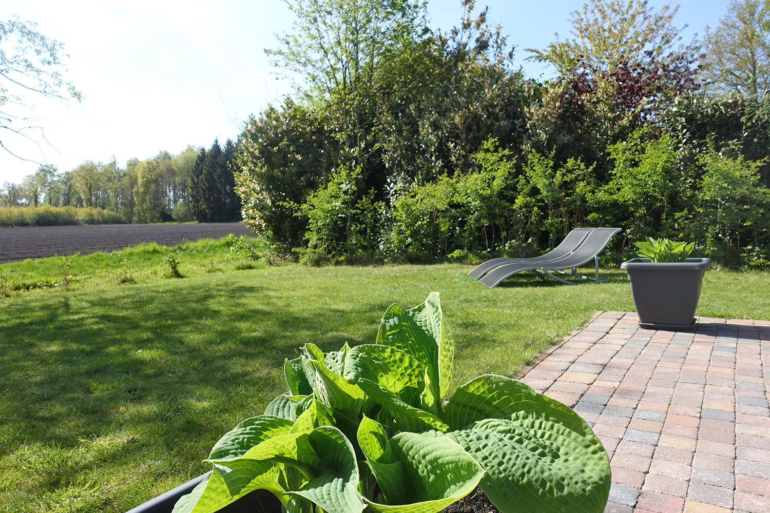 Natuurhuisje in Rheezerveen
