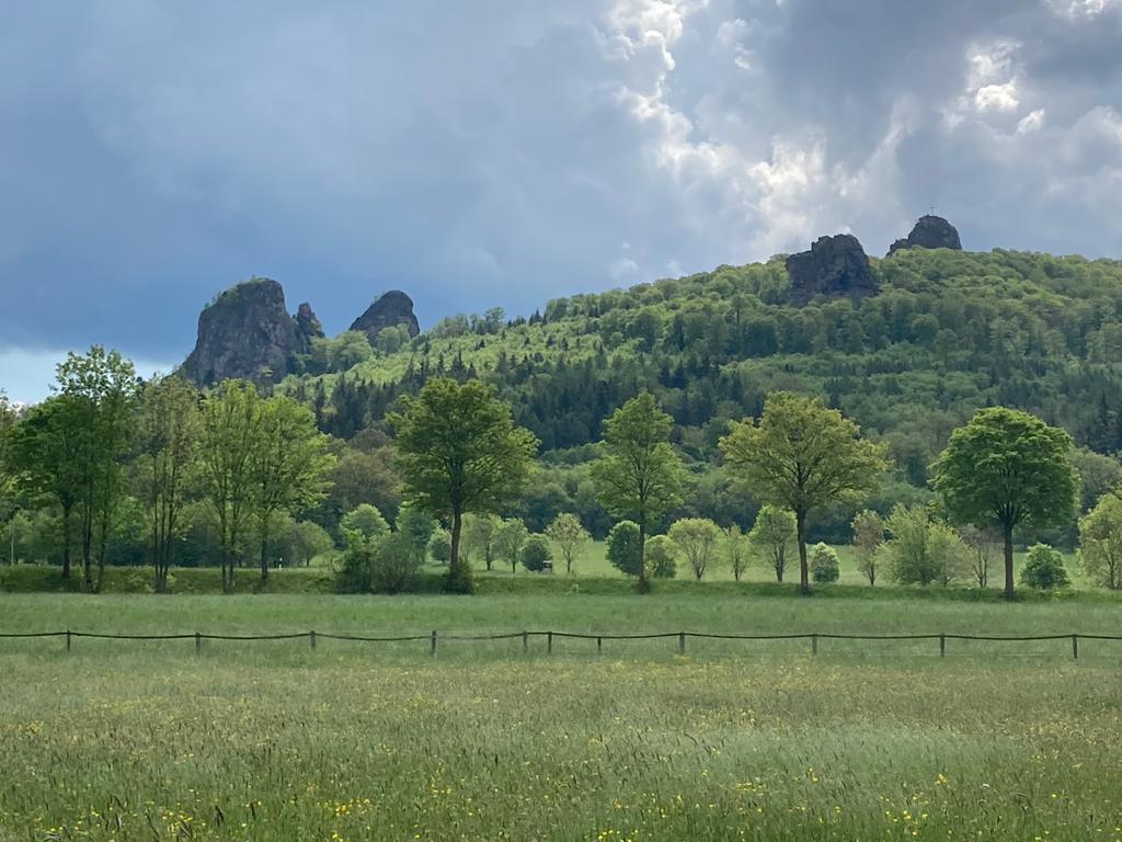 - image: 24
