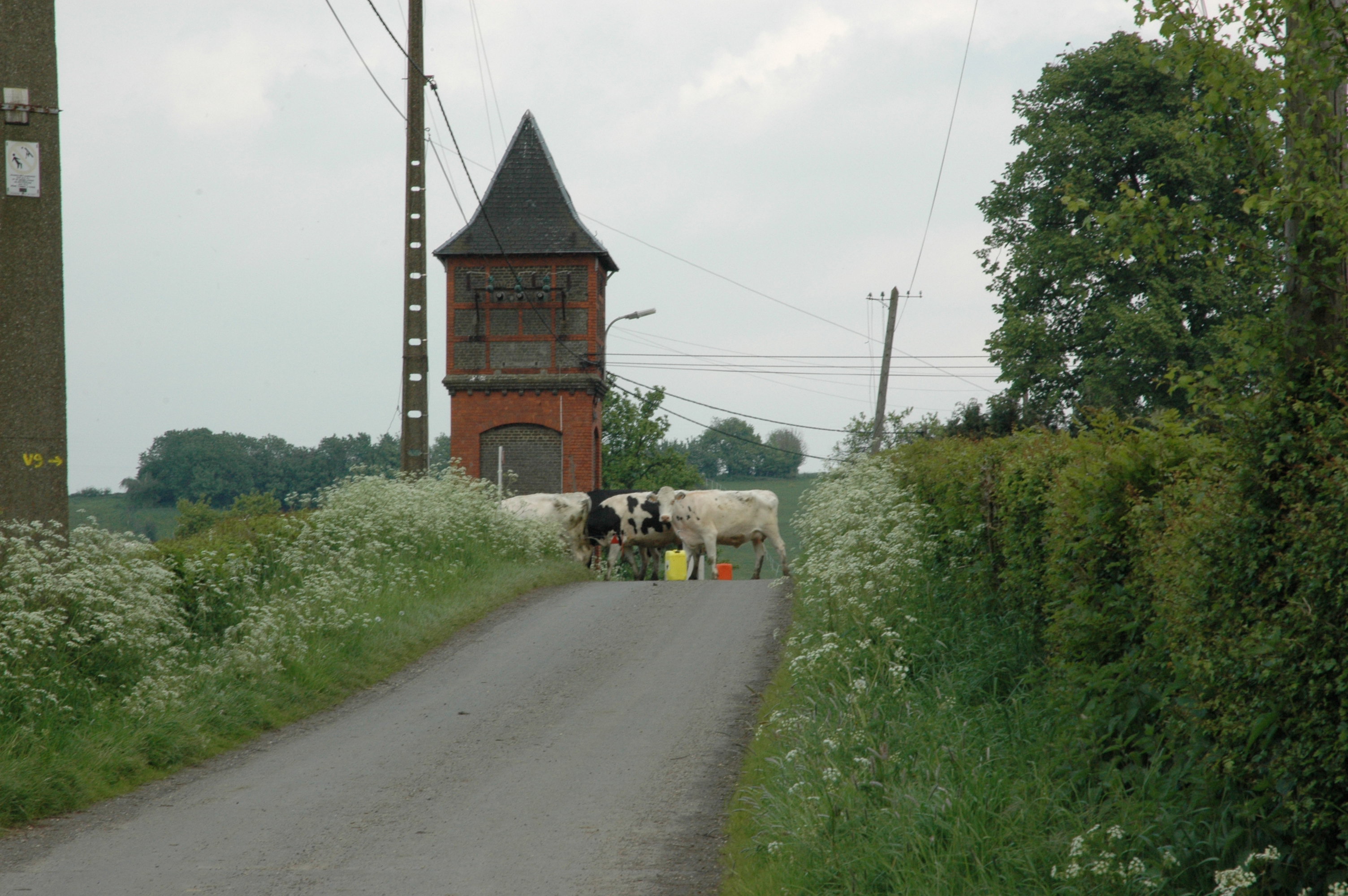 Natuurhuisje in Remersdaal Voeren