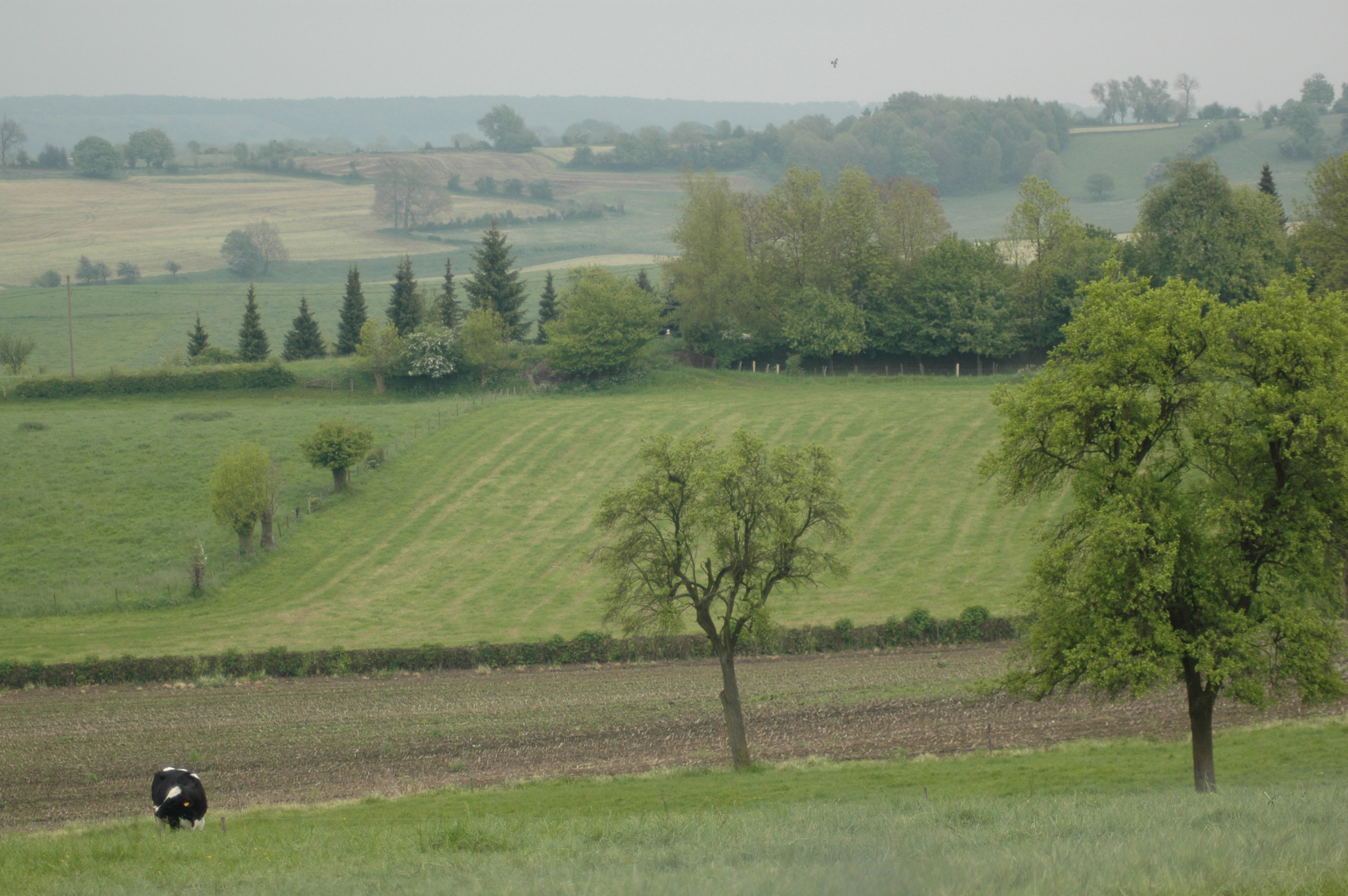 Natuurhuisje in Remersdaal Voeren