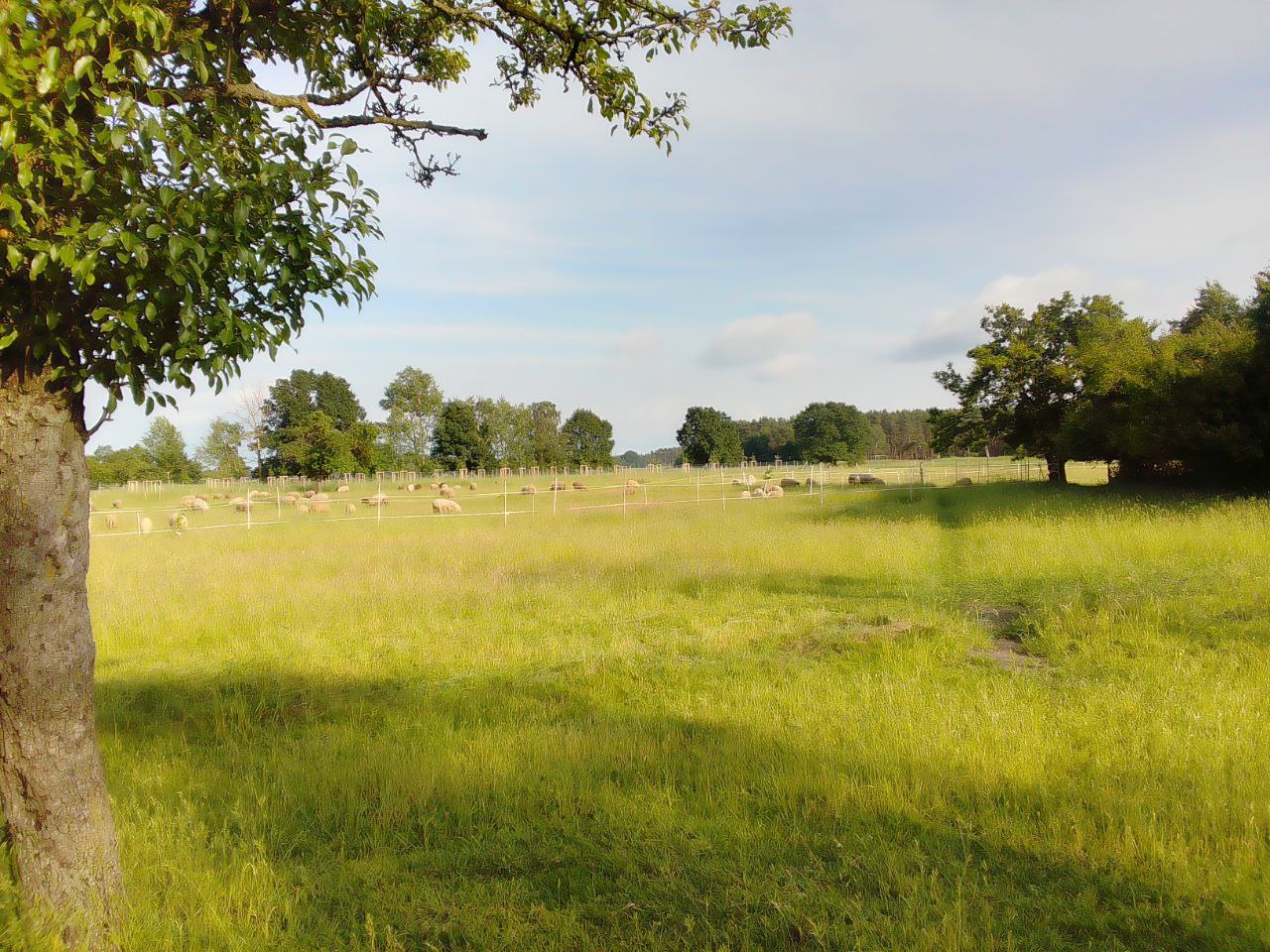 Natuurhuisje in Rosien