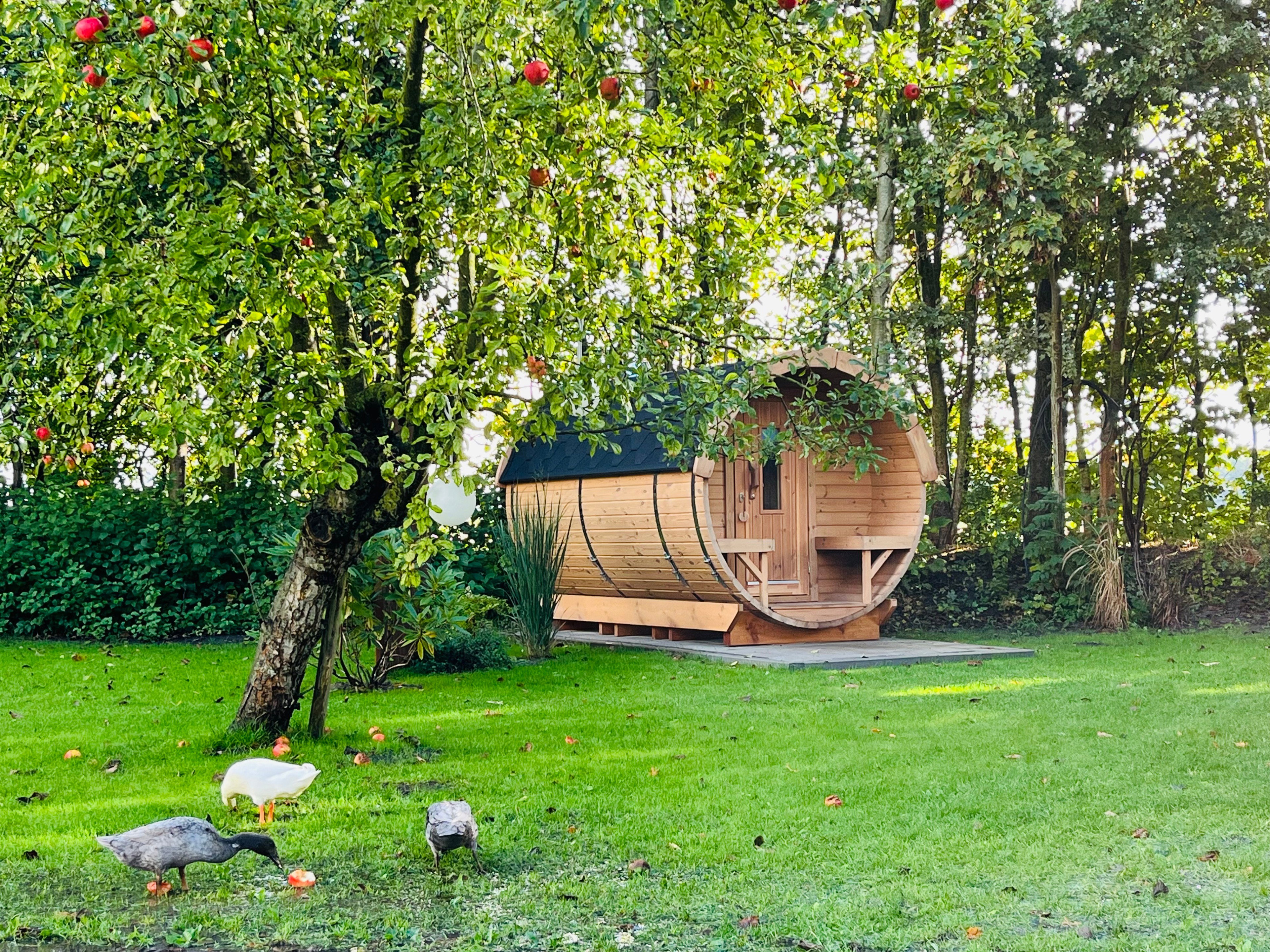 Naturhäuschen in Slootdorp