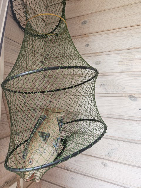Naturhäuschen in Scharendijke